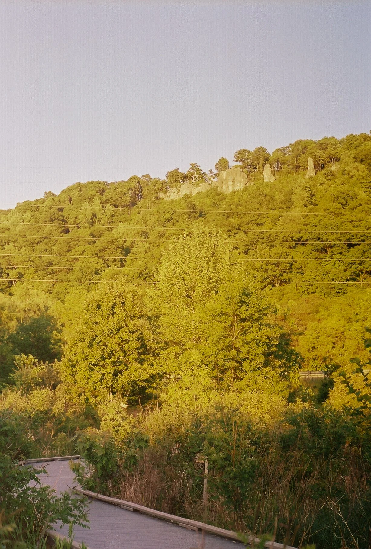 3880090_3880090-R1-039-18.jpg