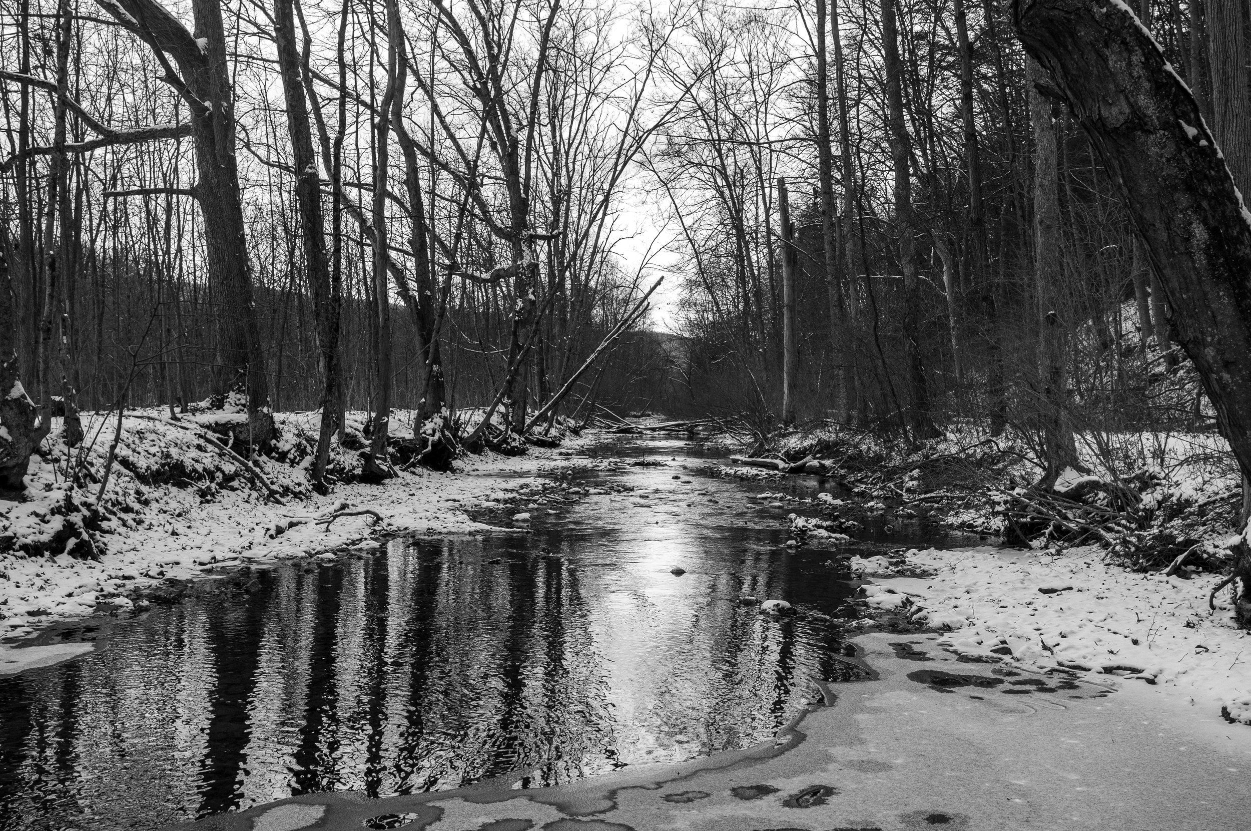 Snow-covered river flowing through a winter forest with leafless trees on both sides, on a cloudy day in black and white.