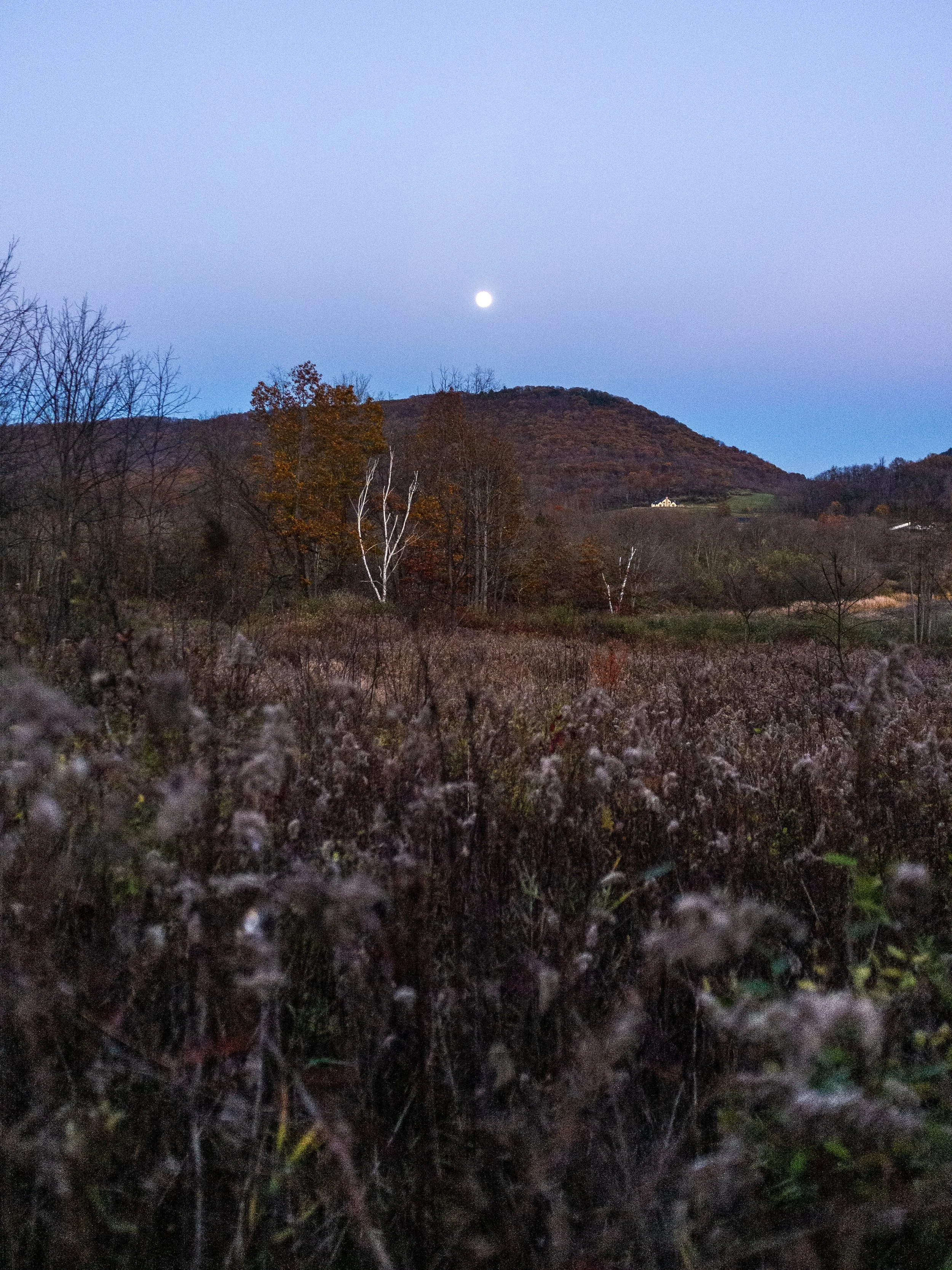 Landscape scene at dusk with moon in the sky, bare trees, and a mountain in the background.