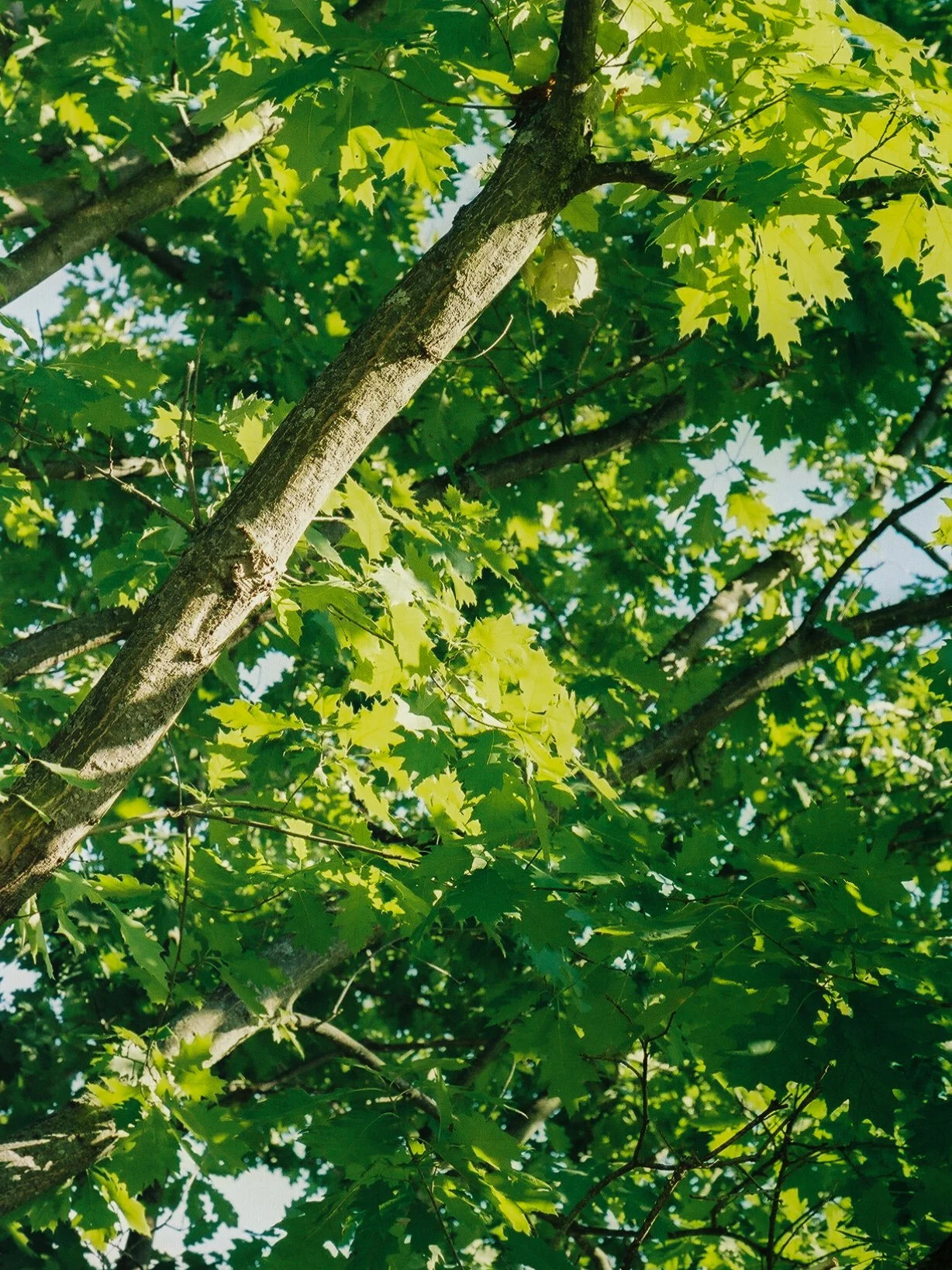 3882220_3882220-R1-053-25.jpg