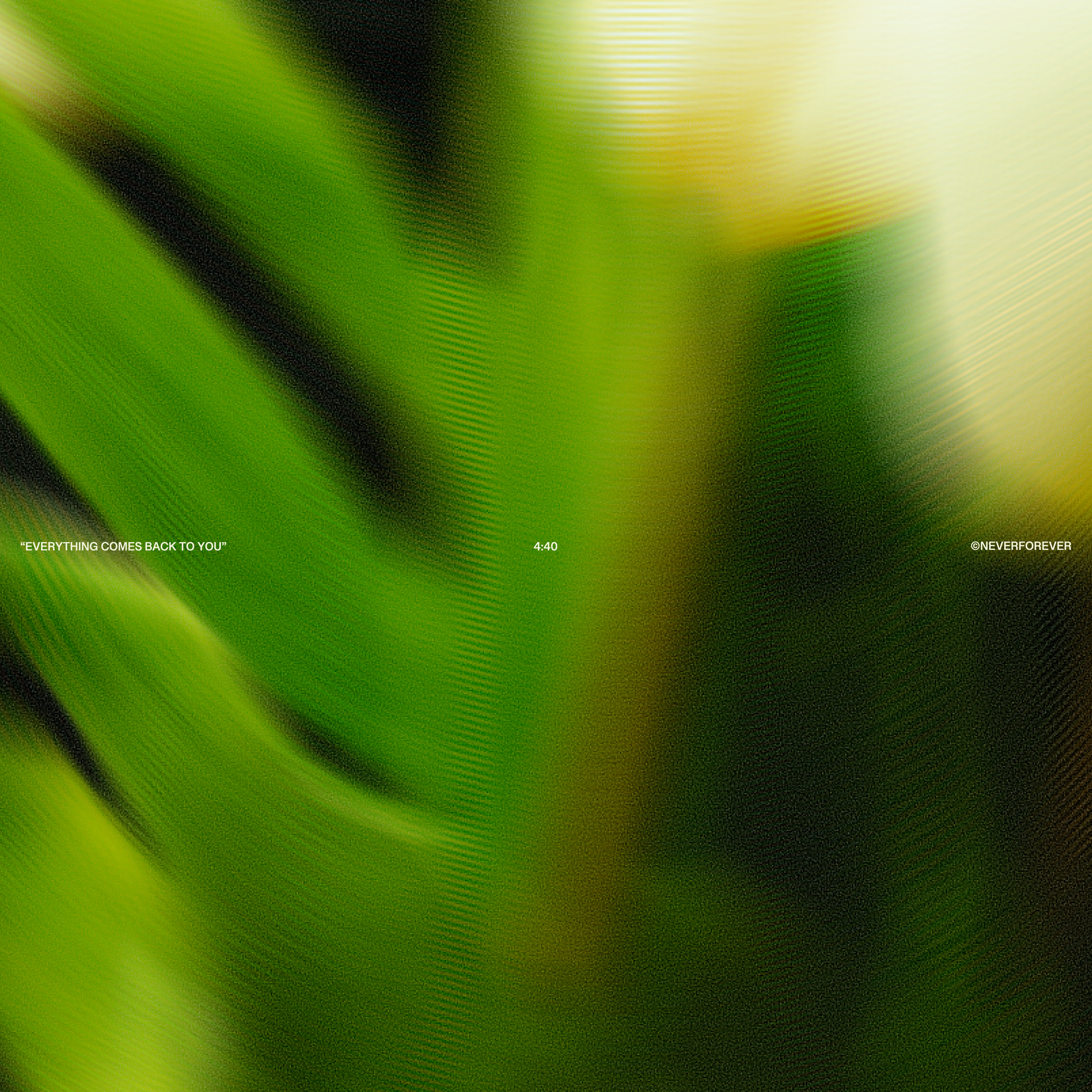 N4E-Covers2.png