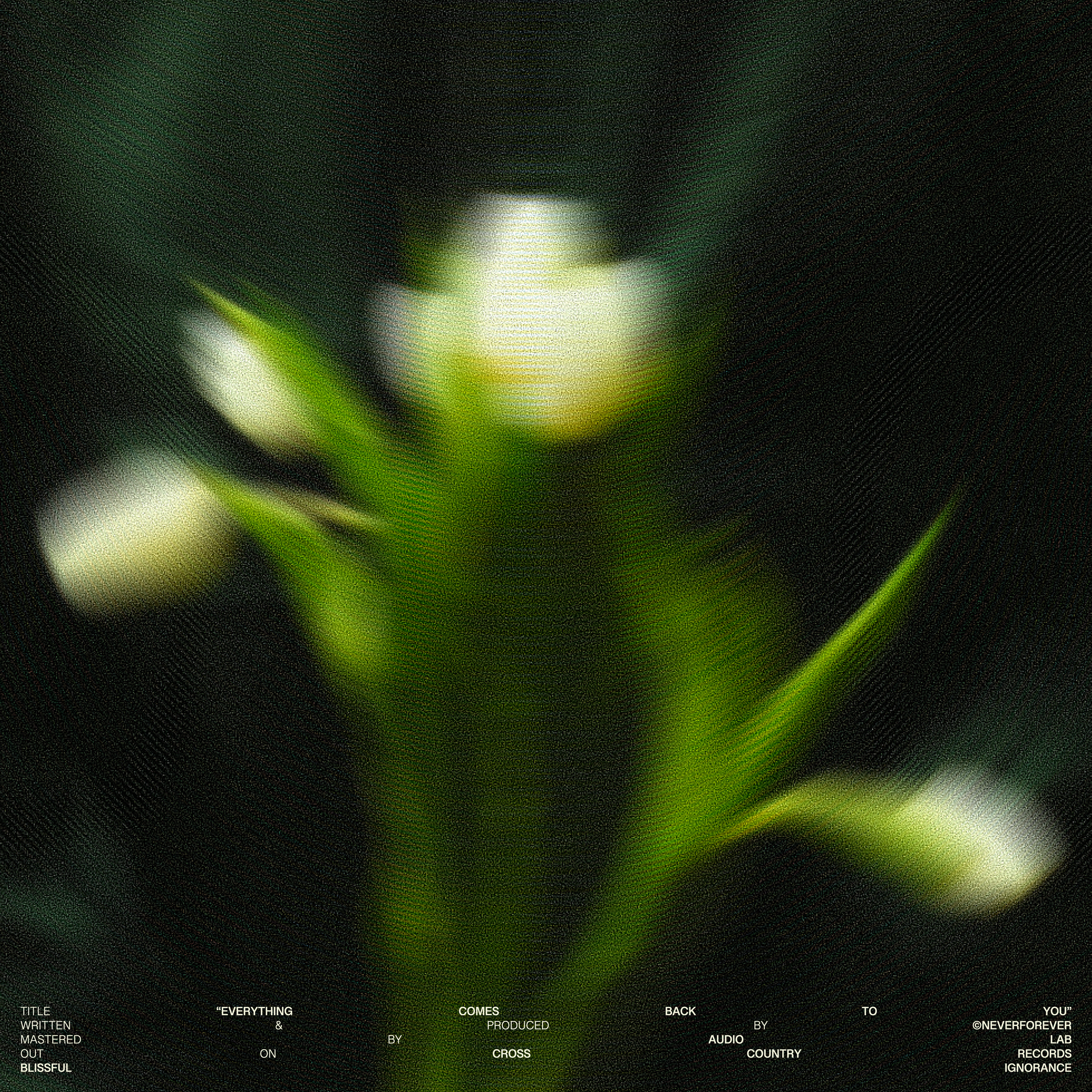 N4E-Covers3.png