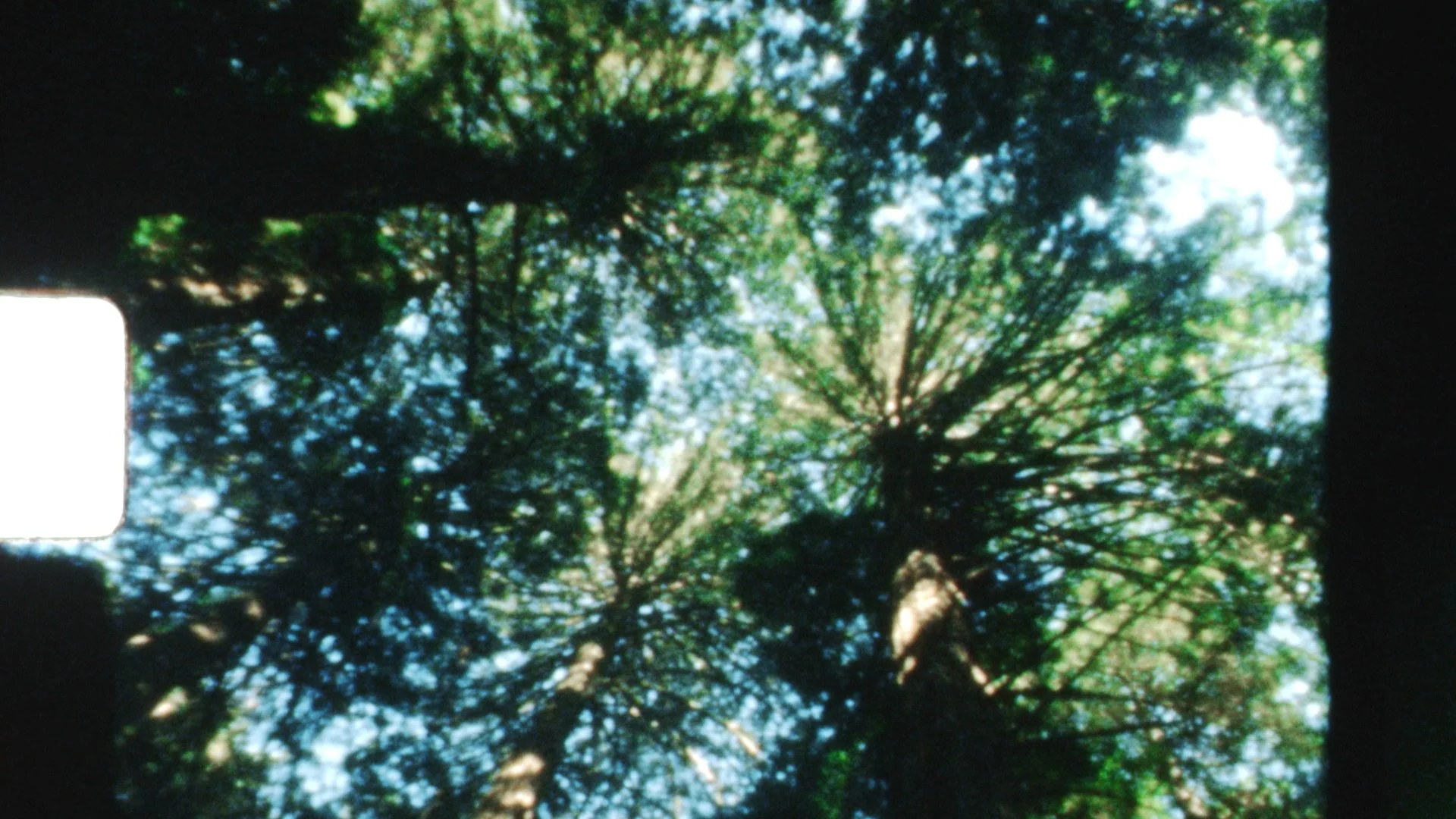 Still 2025-12-21 162726_1.1.35.jpg