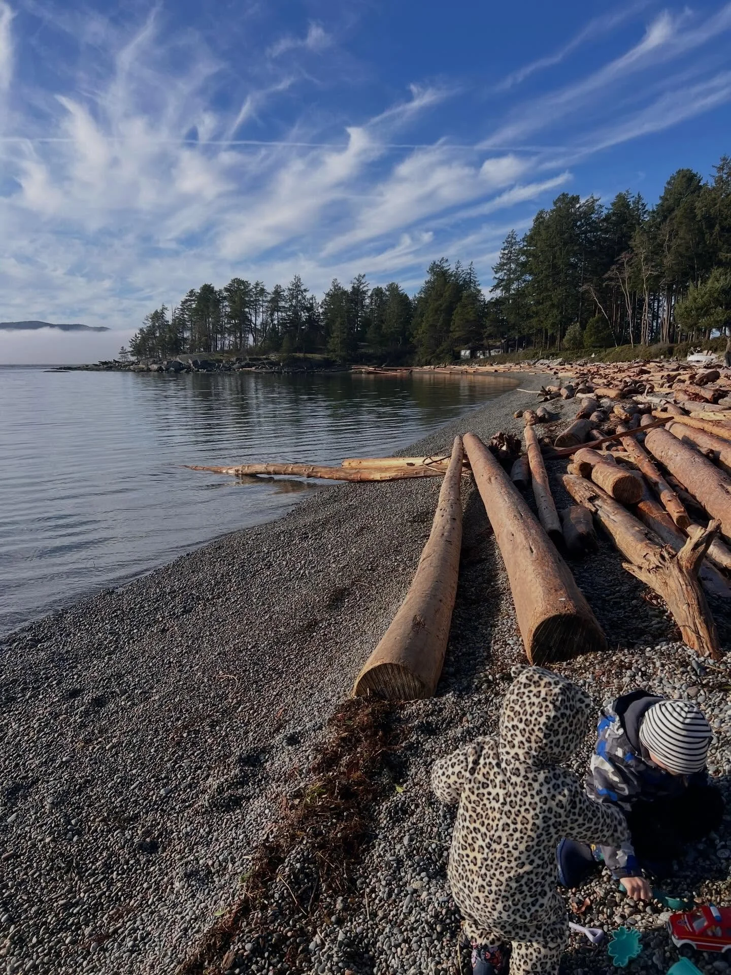 February ✨
Based on my camera roll we spent February exclusively at our house or at the beach 😅
Which tracks because we had a bunch of bugs in February and couldn&rsquo;t do our usual. Hoping for better health and more spring weather ☀️ 
(Oh, and of