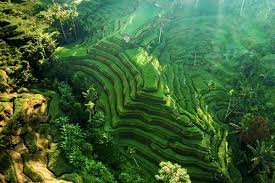 bali group tour 001.jpg