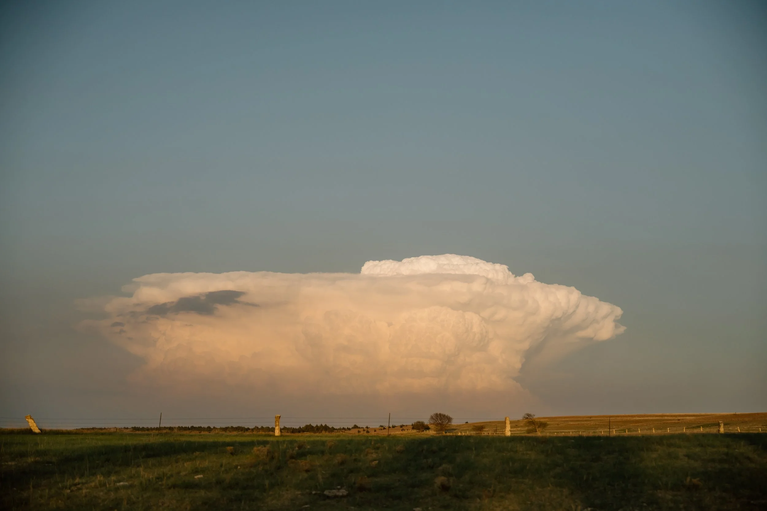 Large cumulonimbus cloud formation over a grassy landscape.