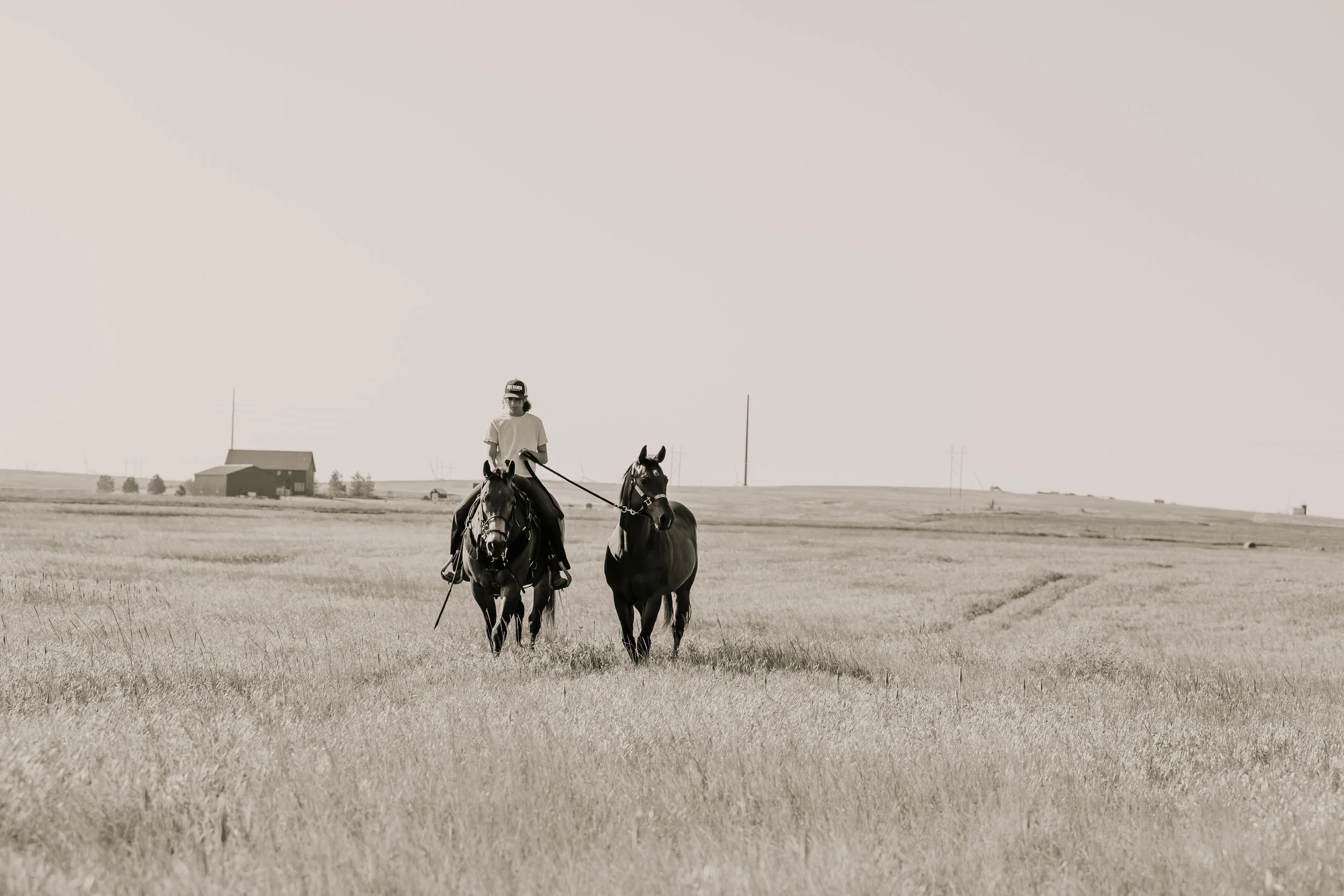 A person riding two horses across a grassy field on a clear day with a barn in the background.