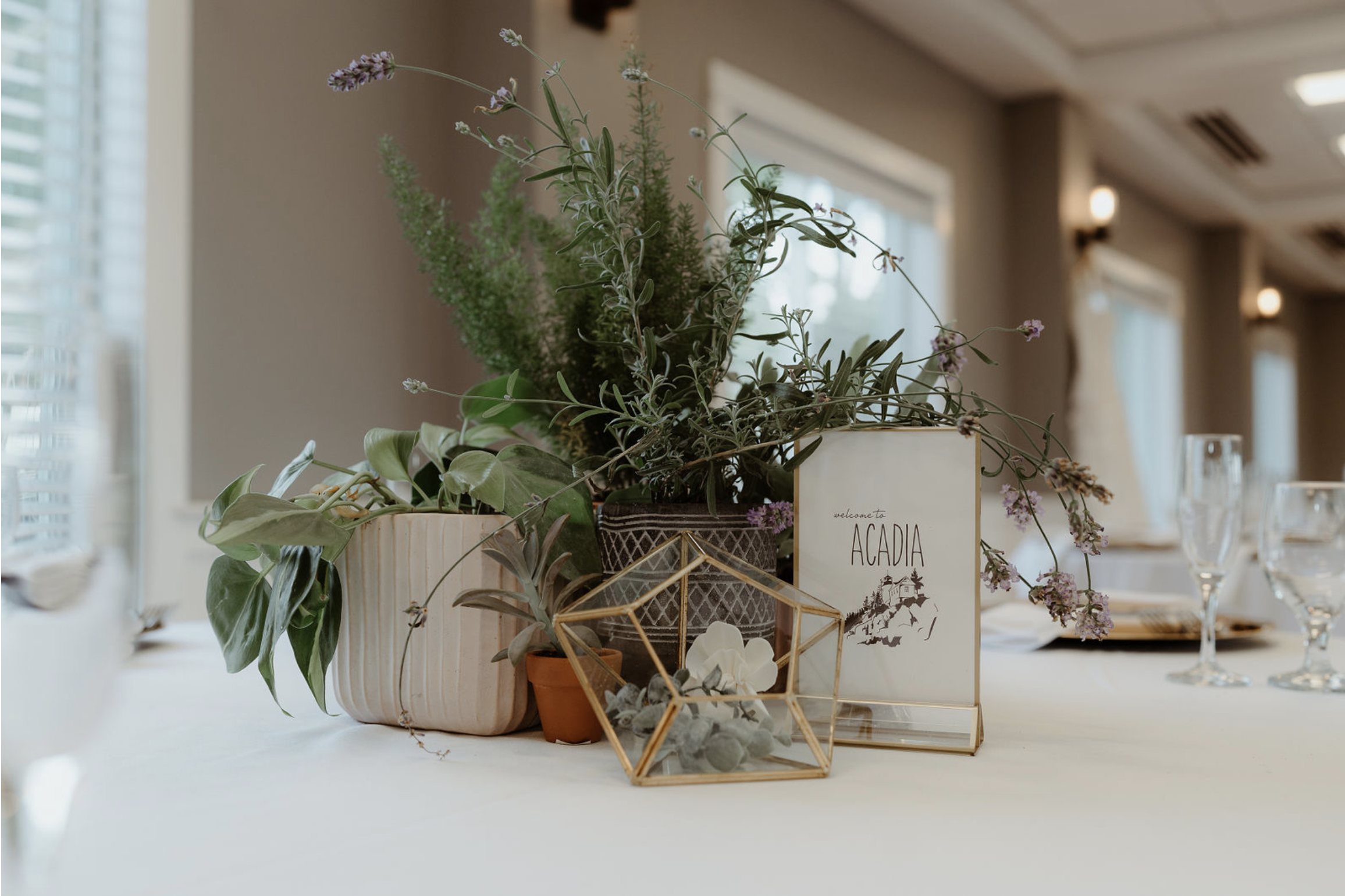 Table centerpiece with potted plants, a geometric terrarium, and a welcome sign for Acadia at a formal event.