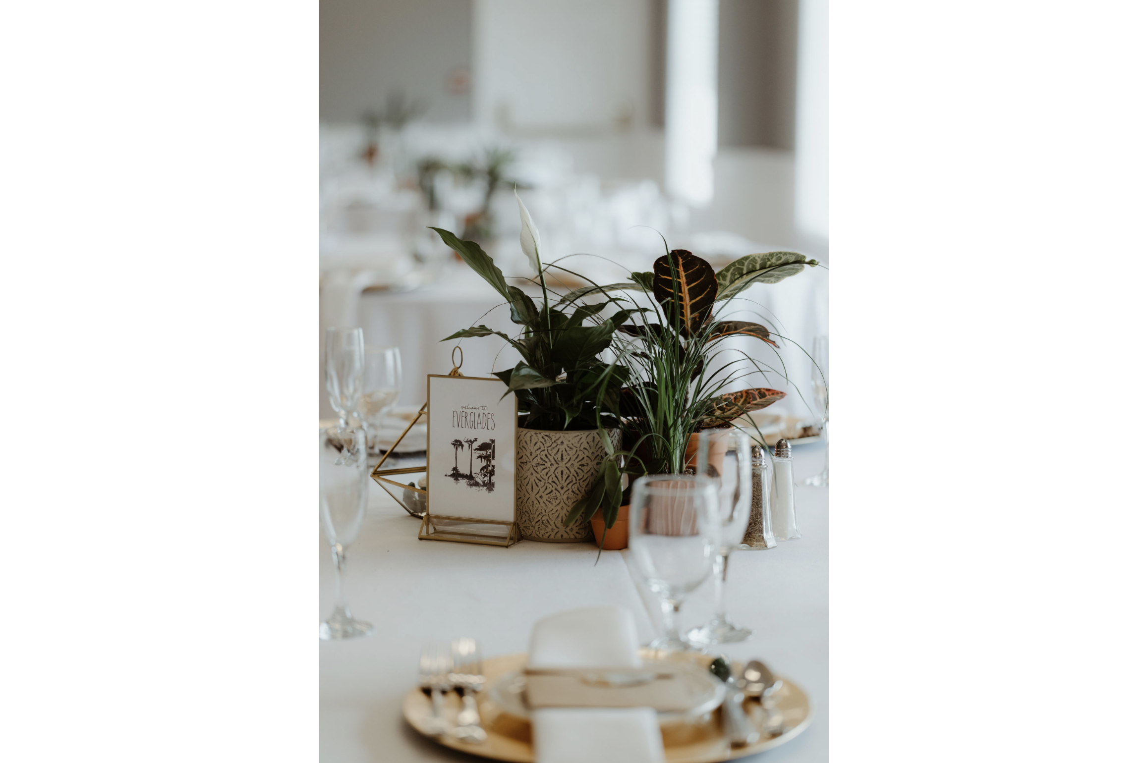 Table setting with wine glasses, a plate with cutlery, and a centerpiece of potted plants on a white tablecloth, with a small framed sign that says 'Everglades'.