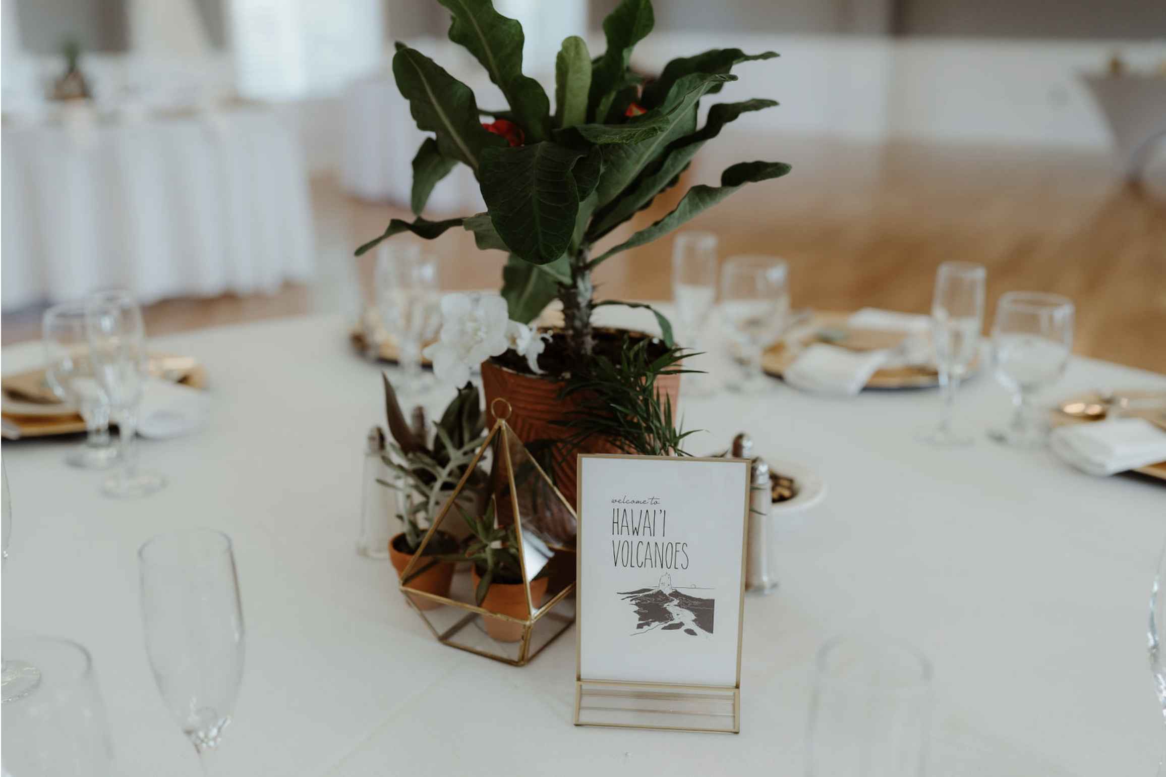 Table centerpiece with a potted plant and decorative succulent, accompanied by a sign that says 'Welcome to Hawaii Volcanoes,' in an elegantly set dining area.
