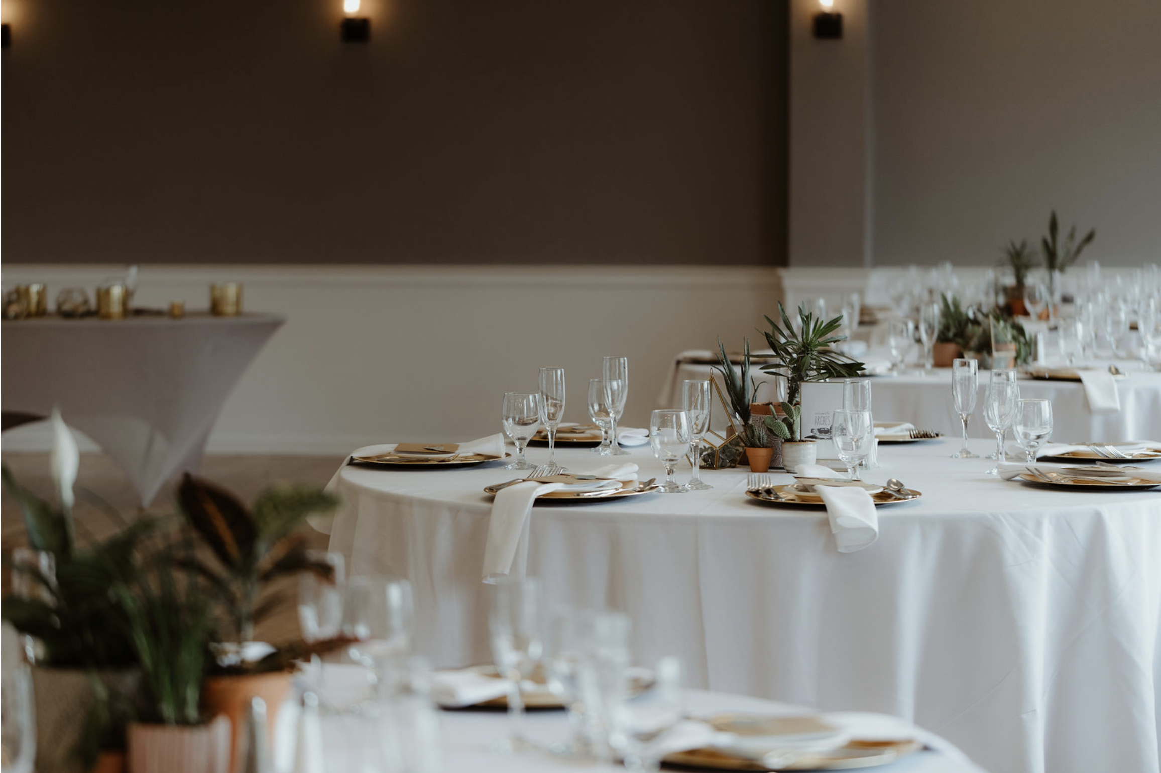Elegant banquet table setup with white tablecloths, gold-rimmed plates, white napkins, and glassware, decorated with green potted plants in terracotta pots.