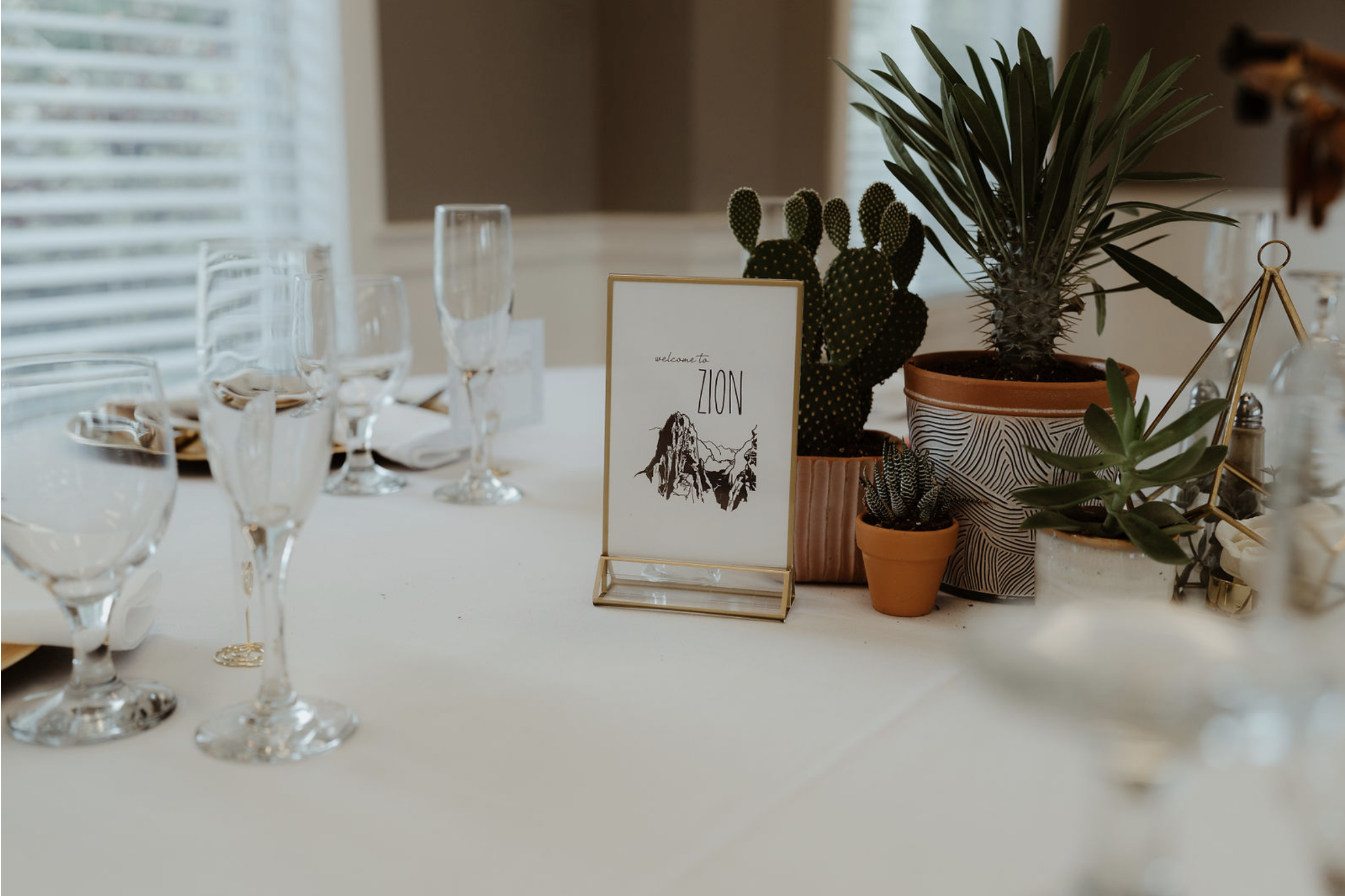 Table setting with wine glasses, a welcome sign that says 'welcome to ZION' with mountain illustration, and potted plants including cacti and succulents.