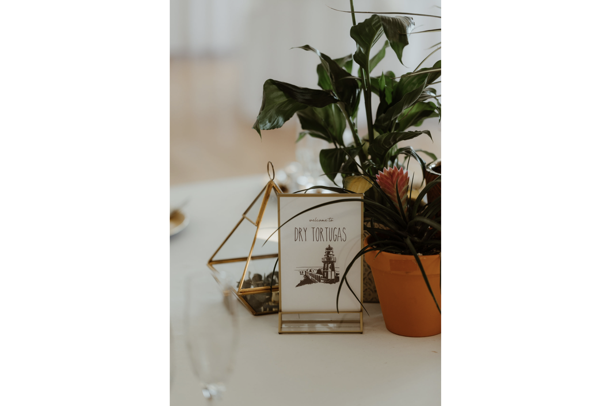 Decorative table setup featuring houseplants, a framed sign that says 'welcome to DRY TORTUGAS', a geometric glass terrarium, and a glass of champagne.