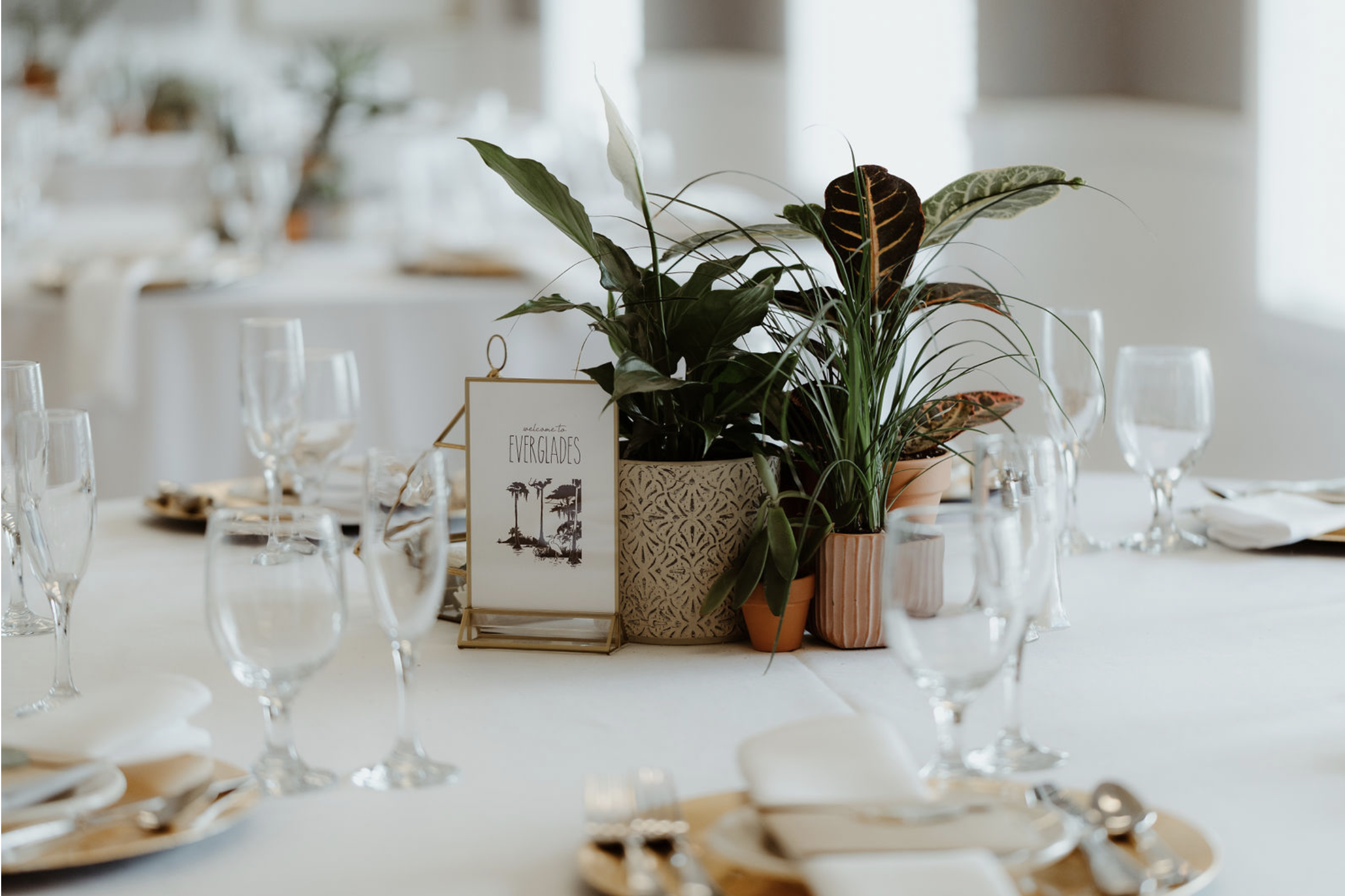 Elegant table centerpiece with potted green plants and a small framed sign that reads 'welcome to EVERGLADES' surrounded by glasses and tableware at a formal event.