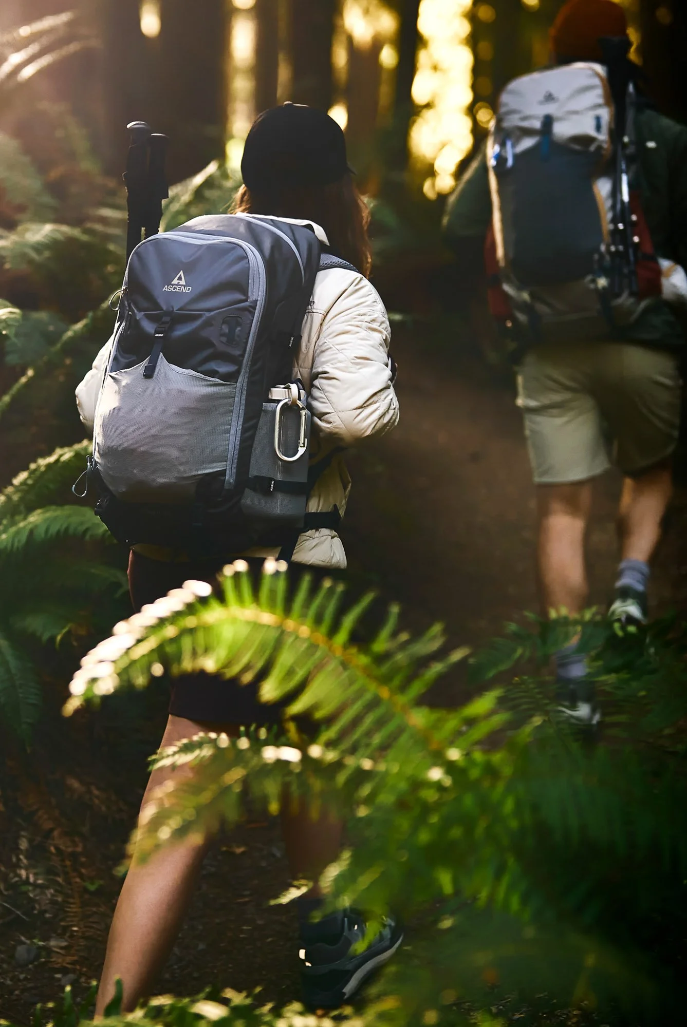 Two hikers walking through a forest trail with backpacks, illuminated by sunlight filtering through the trees.