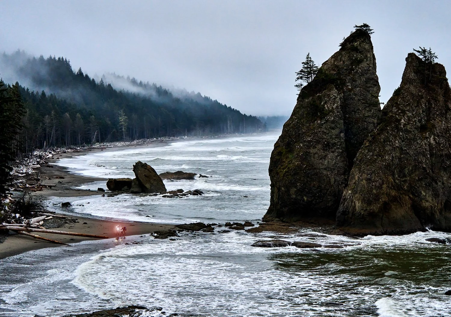 A rugged coastline with large sea stacks and a forested shoreline shrouded in mist, on a cloudy day.