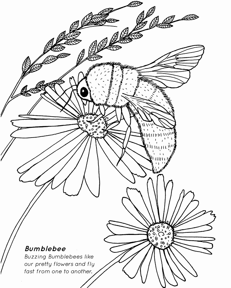 Dune Coloring Book Bumblebee_96dpi.png