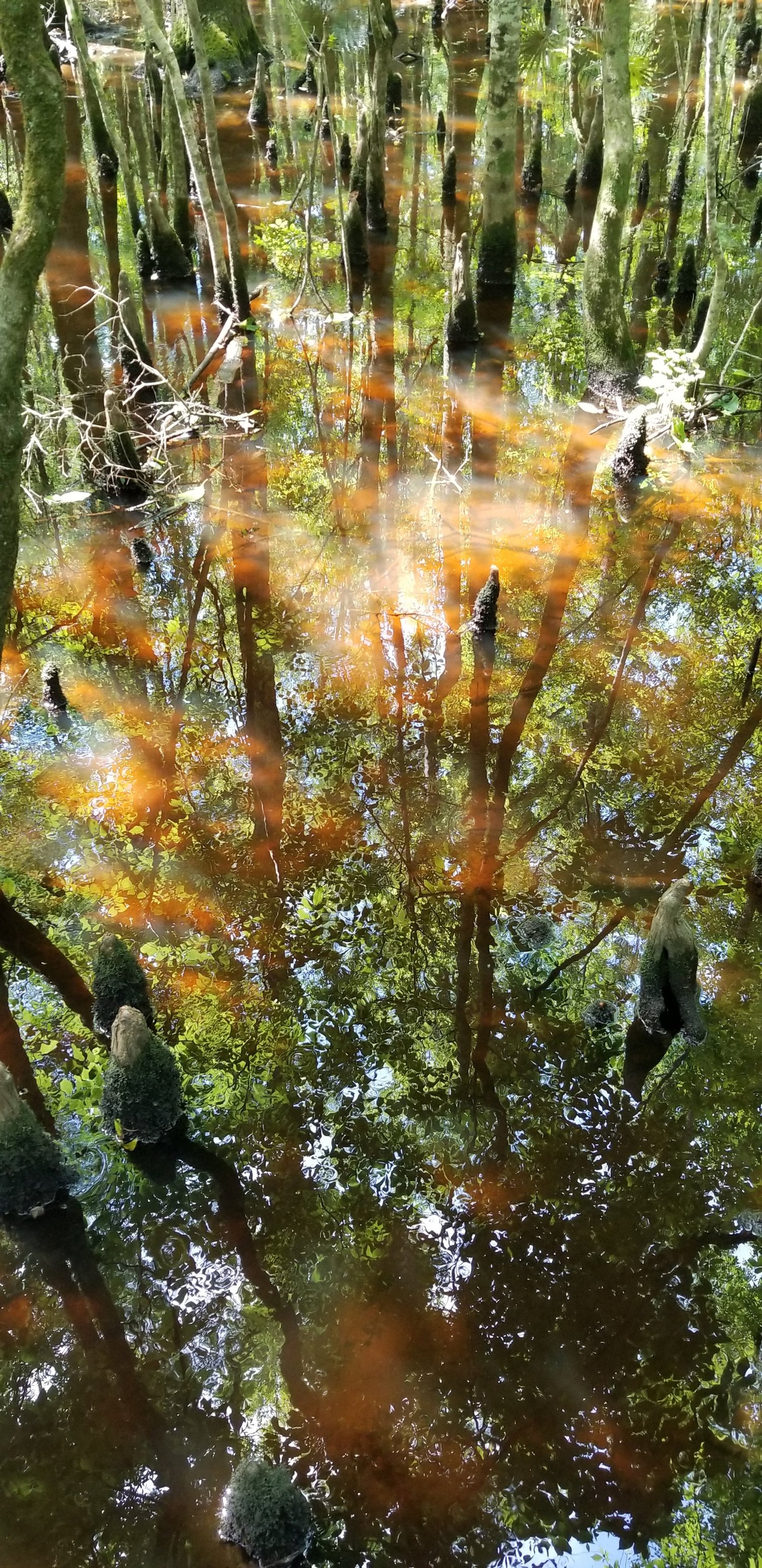 shouldとは 意味・読み方・使い方 visual data 7