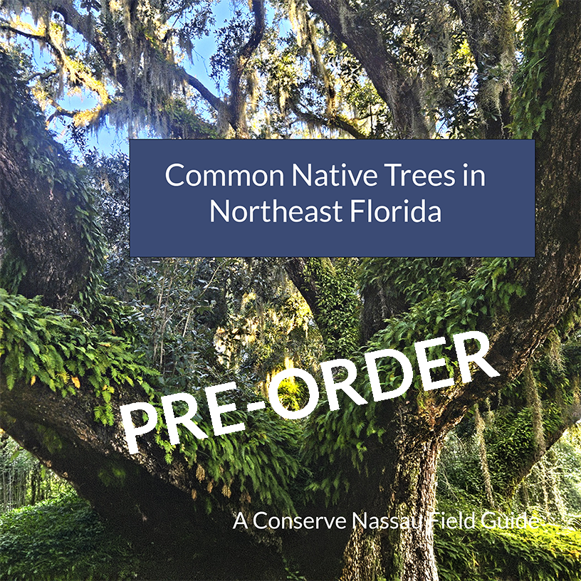 Tree Guide Cover 96dpi- PREORDER.png