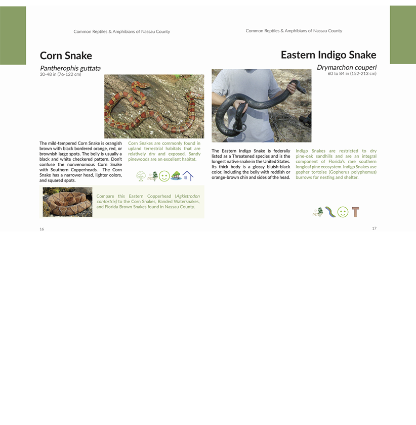 Herps Spread_96dpi 822w.png