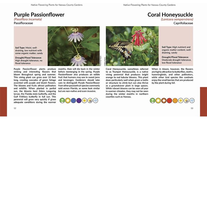 Wildfllowers bookspread_96dpi 822w.png