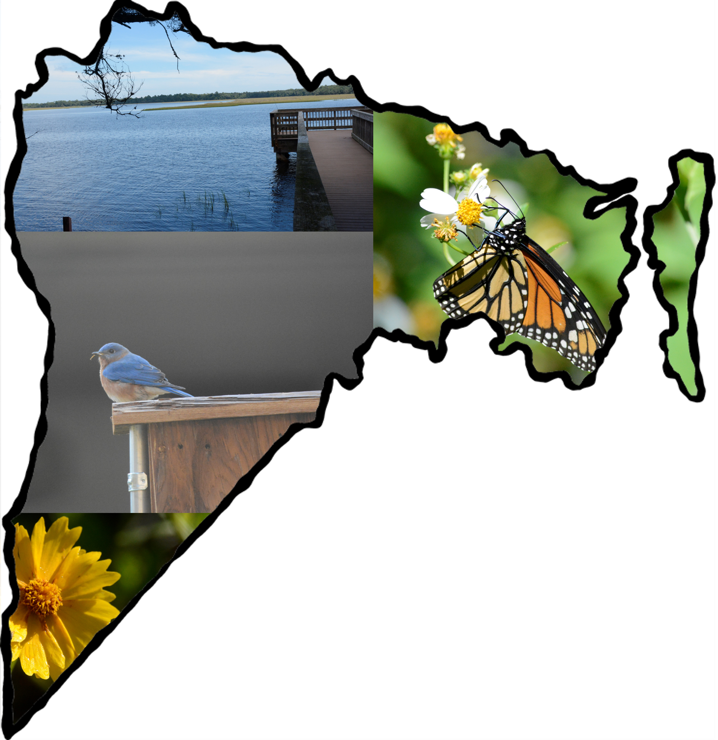 composite of wildlife on Nassau County outline