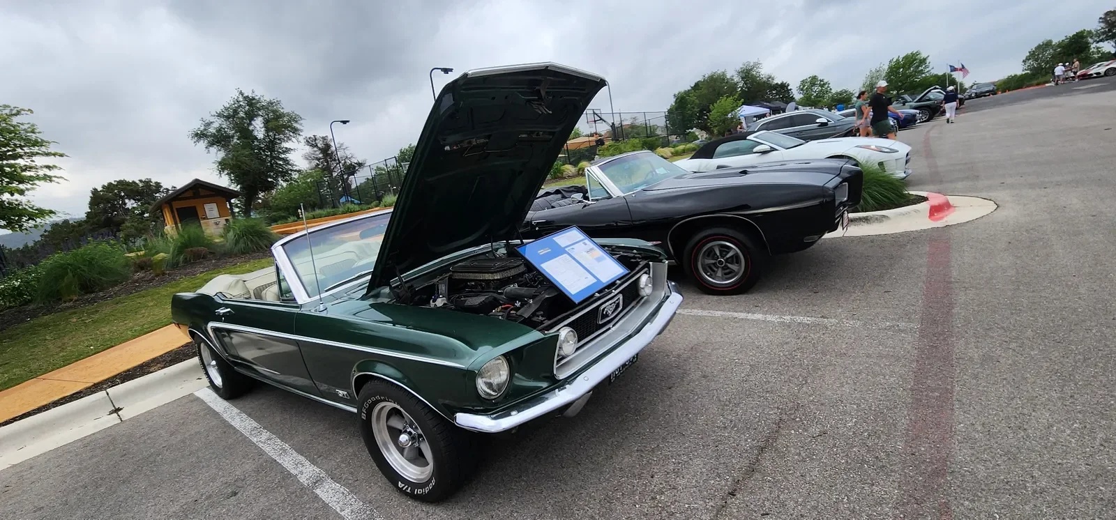 lake-travis-car-meet-mustang-convertible.webp