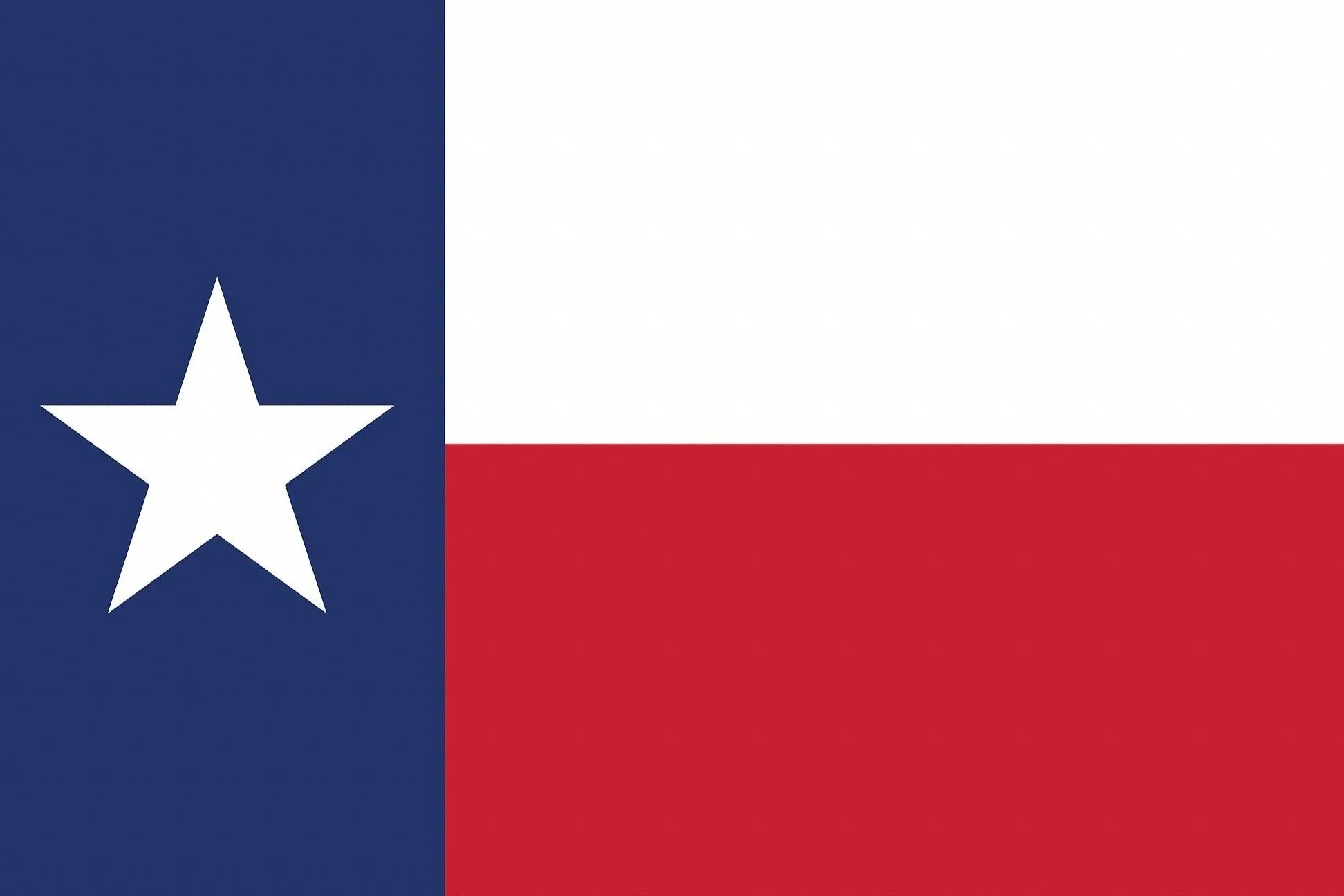 Texas state flag with a blue vertical stripe containing a white star on the left, and horizontal white and red stripes on the right.