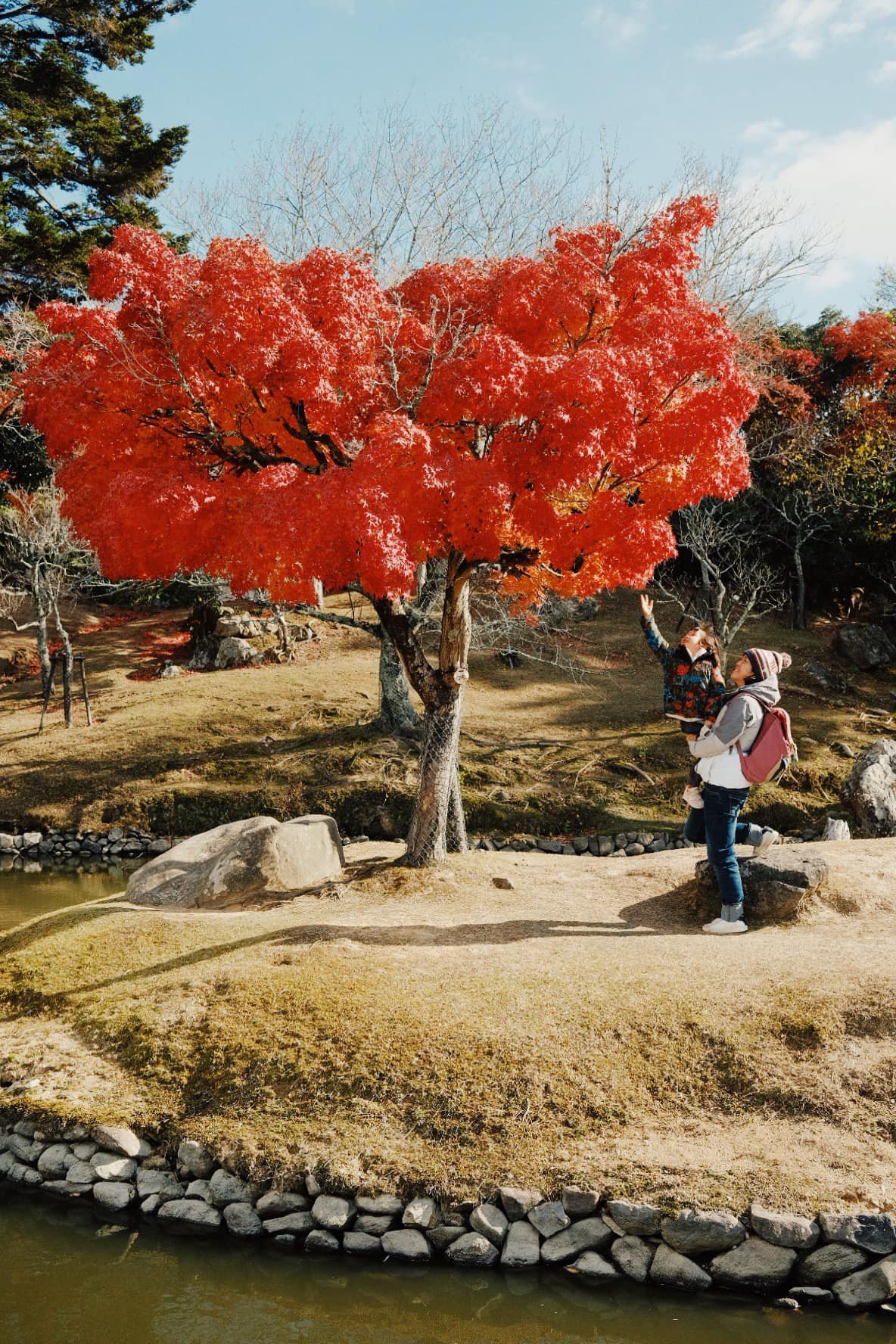 Rediscovering Kyoto with Kids: Hidden Gems, Family-Friendly Eats & Unforgettable Cultural Adventures