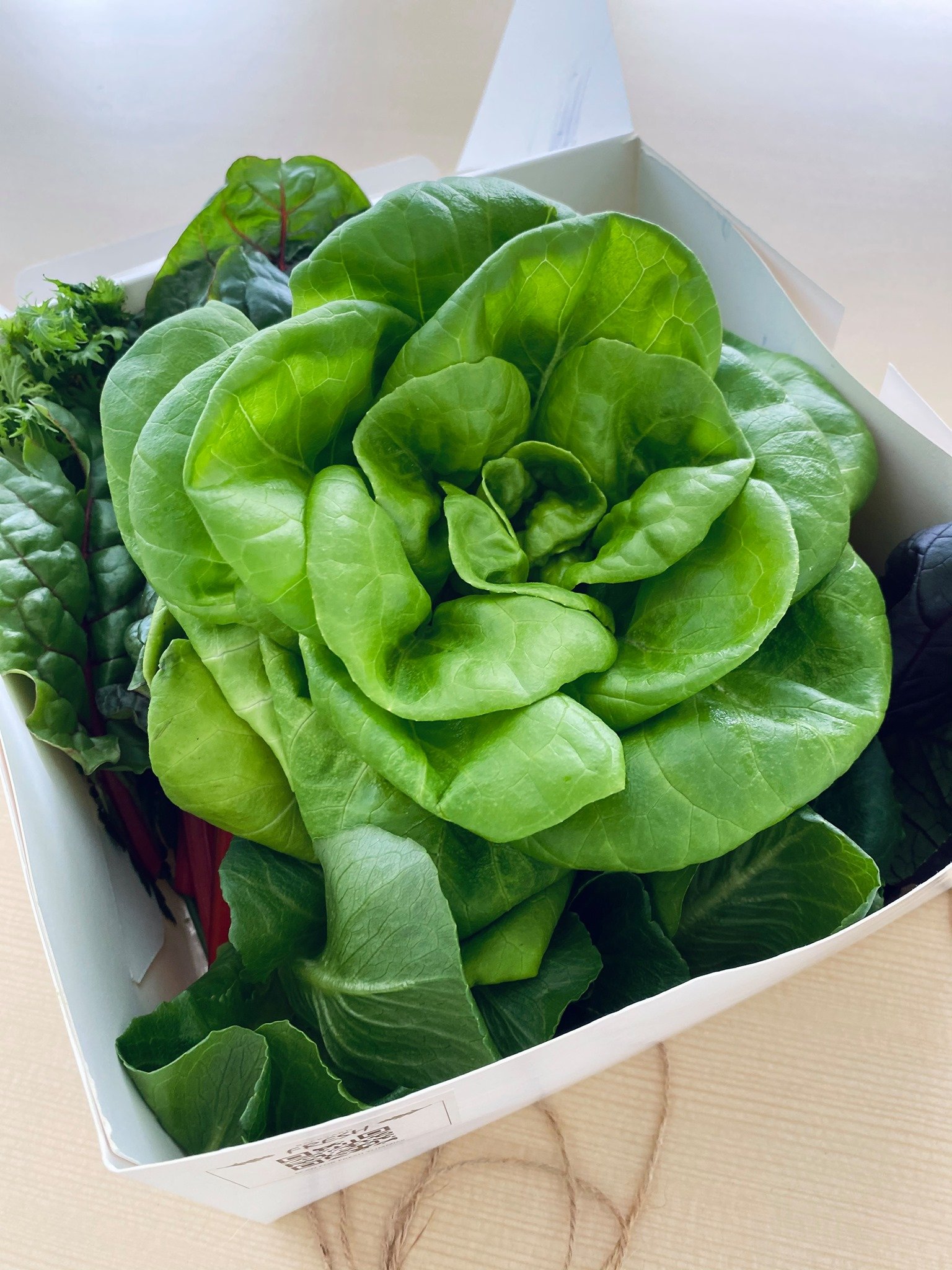 Backyard Fresh Veggies