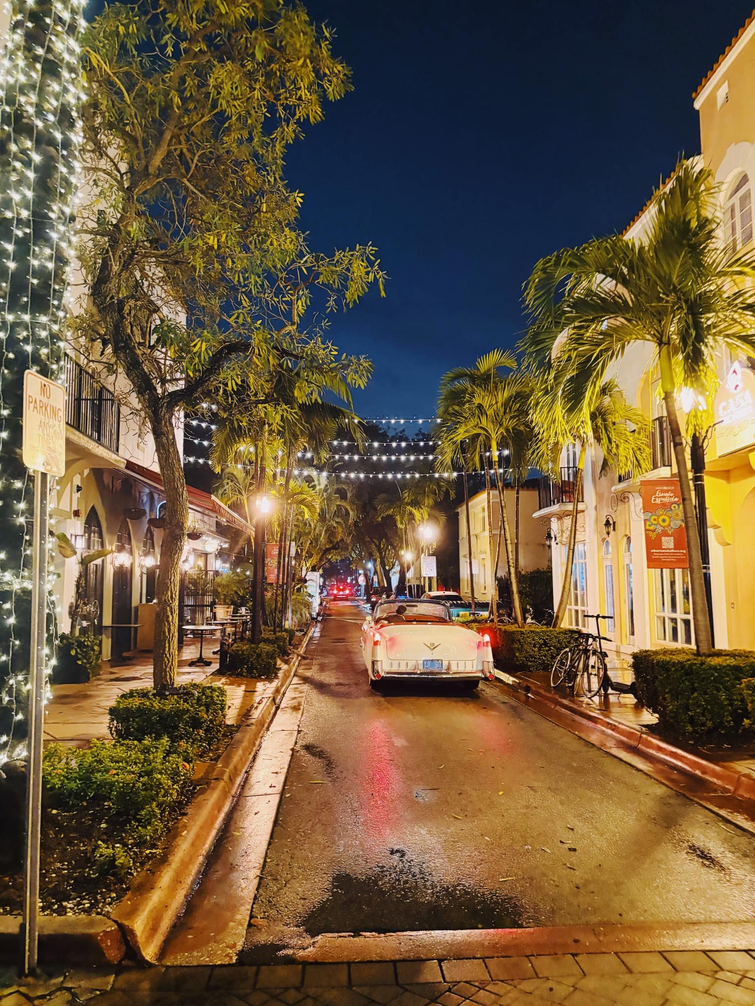 Miami Sound Machine & Cuba Libre: Gloria Estefan’s Cuban Rhythms and Miami Beach’s Latin Soul