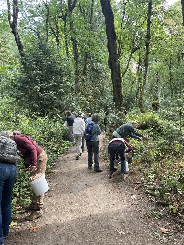 Seed Collecting.jfif