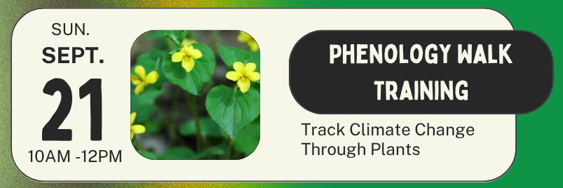 Phenology Walk Training