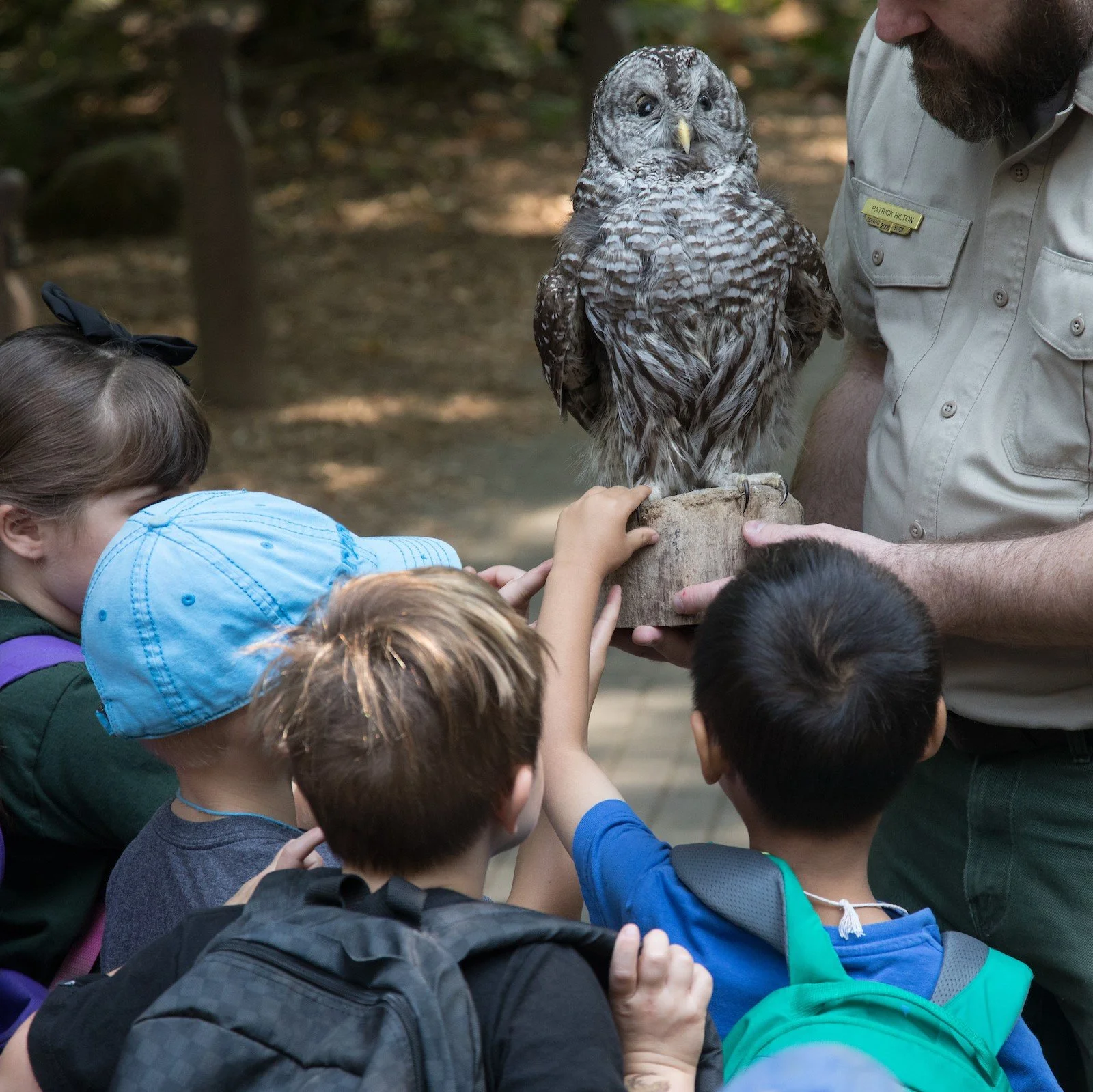 Guided Hike: Ask a Ranger