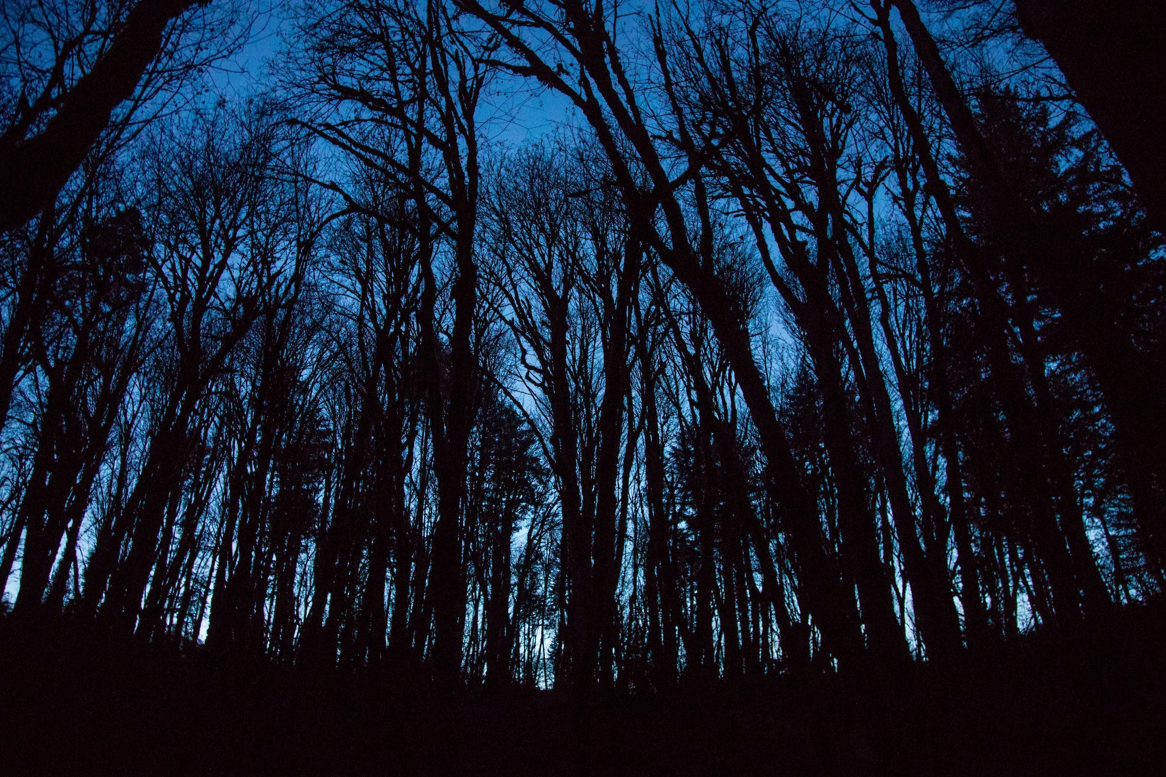 Guided Hike: Ghosts of Oregon State Parks