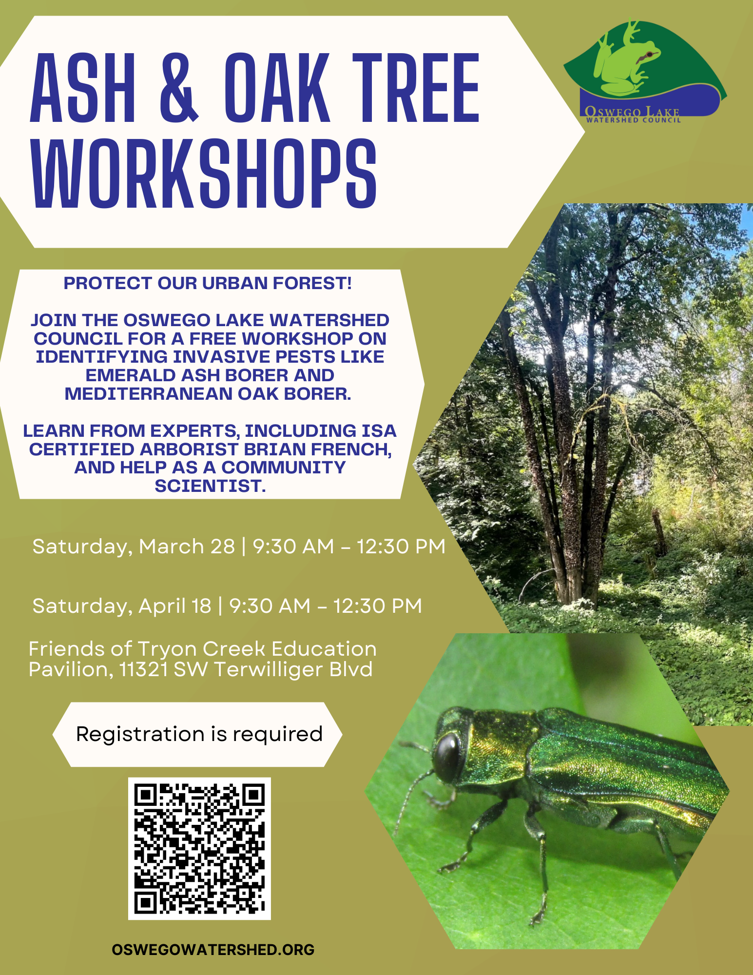 Ash & Oak Workshop Series