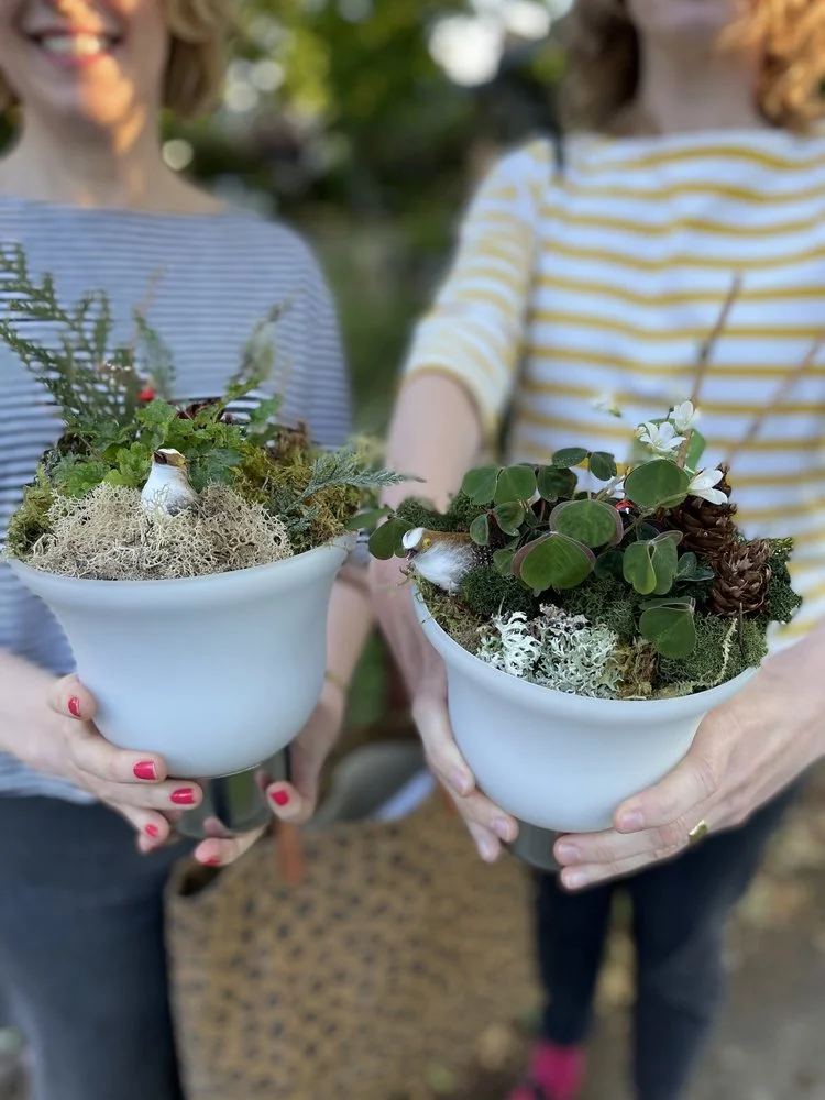 Spring Botanical Workshop