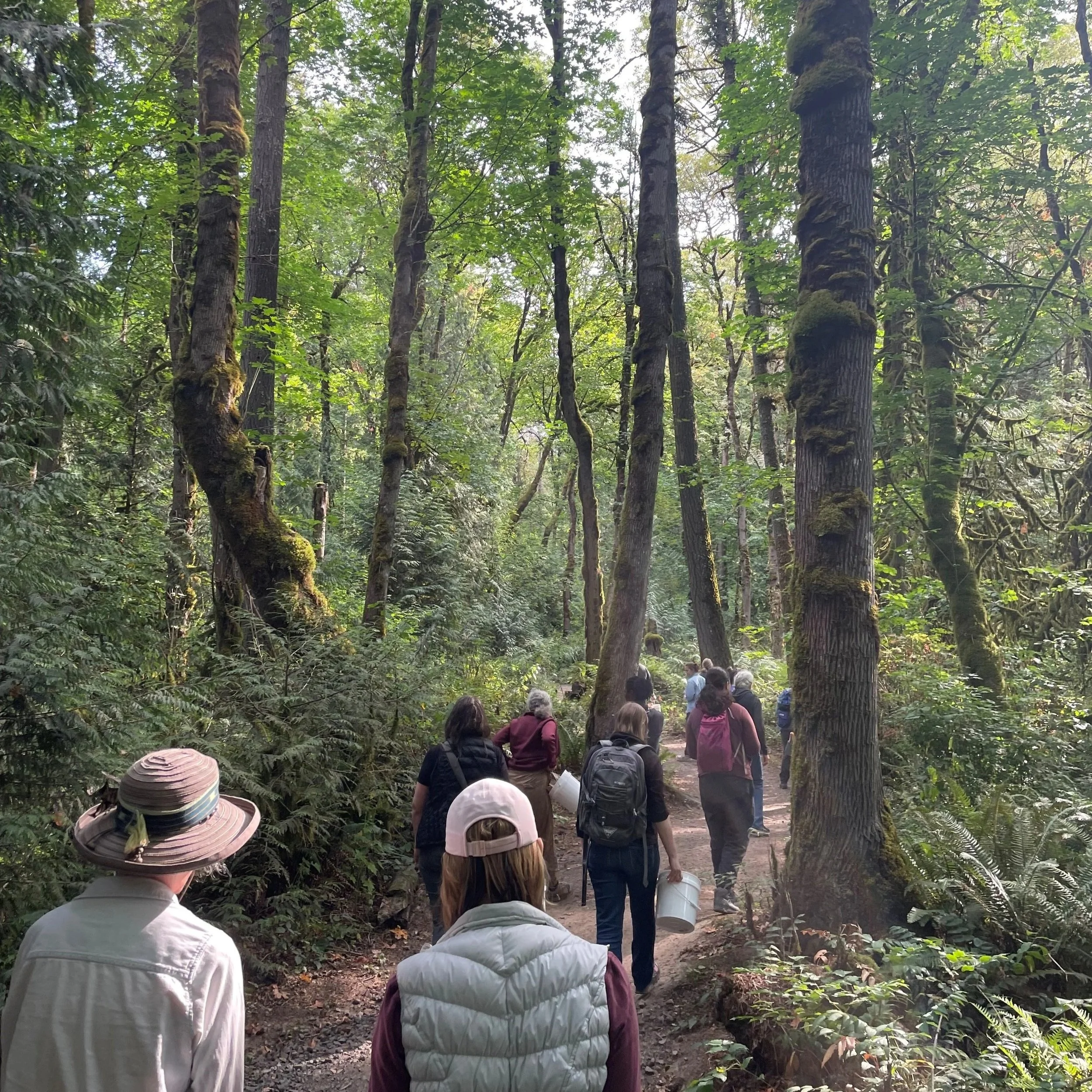 Volunteer Land Tending: Seed Collecting 