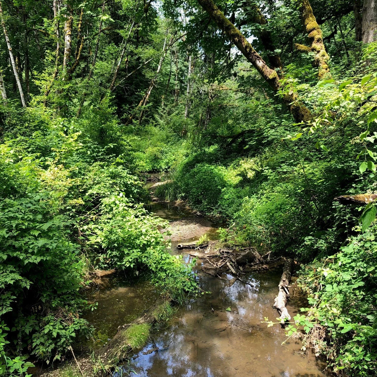 Guided Hike: Summer Solstice