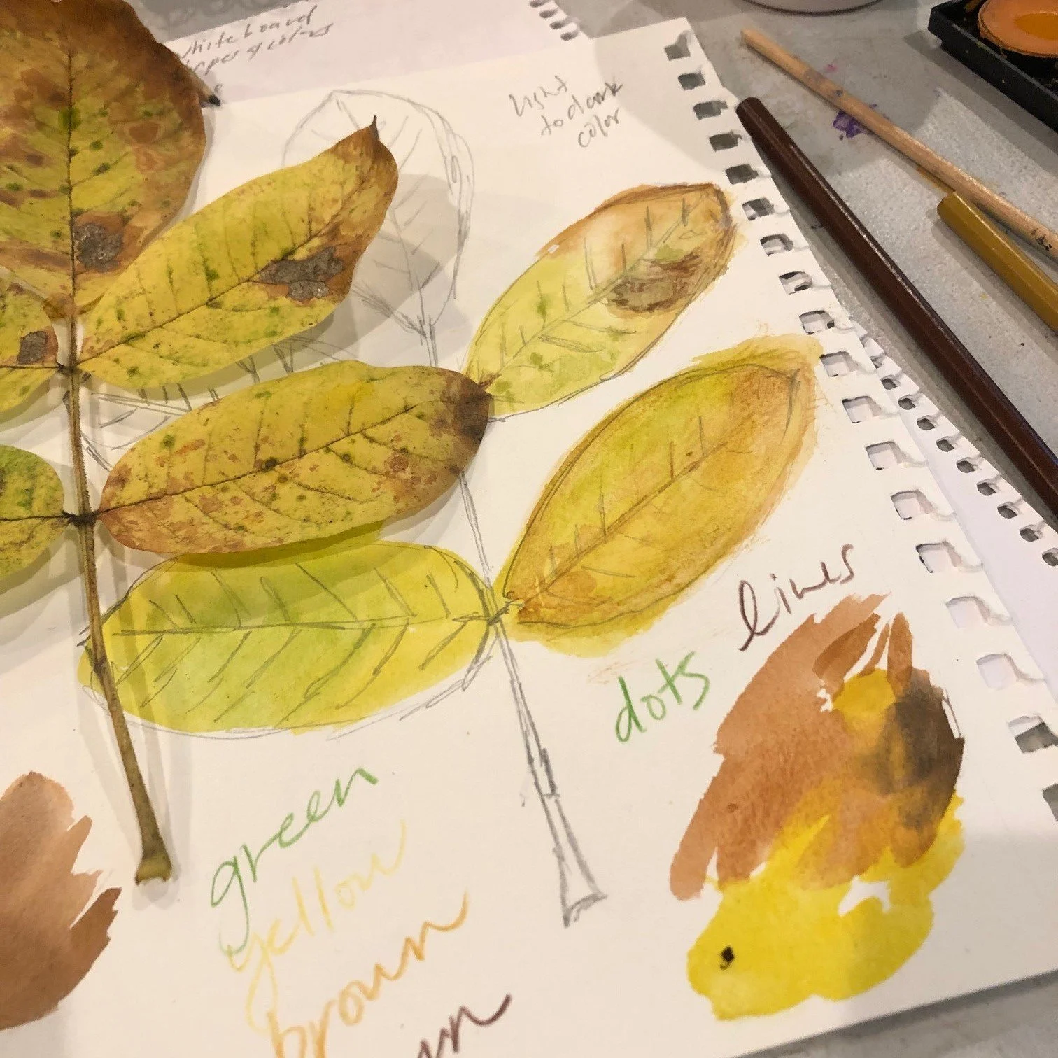 Nature Journaling - Leaves &amp; Leaf Litter