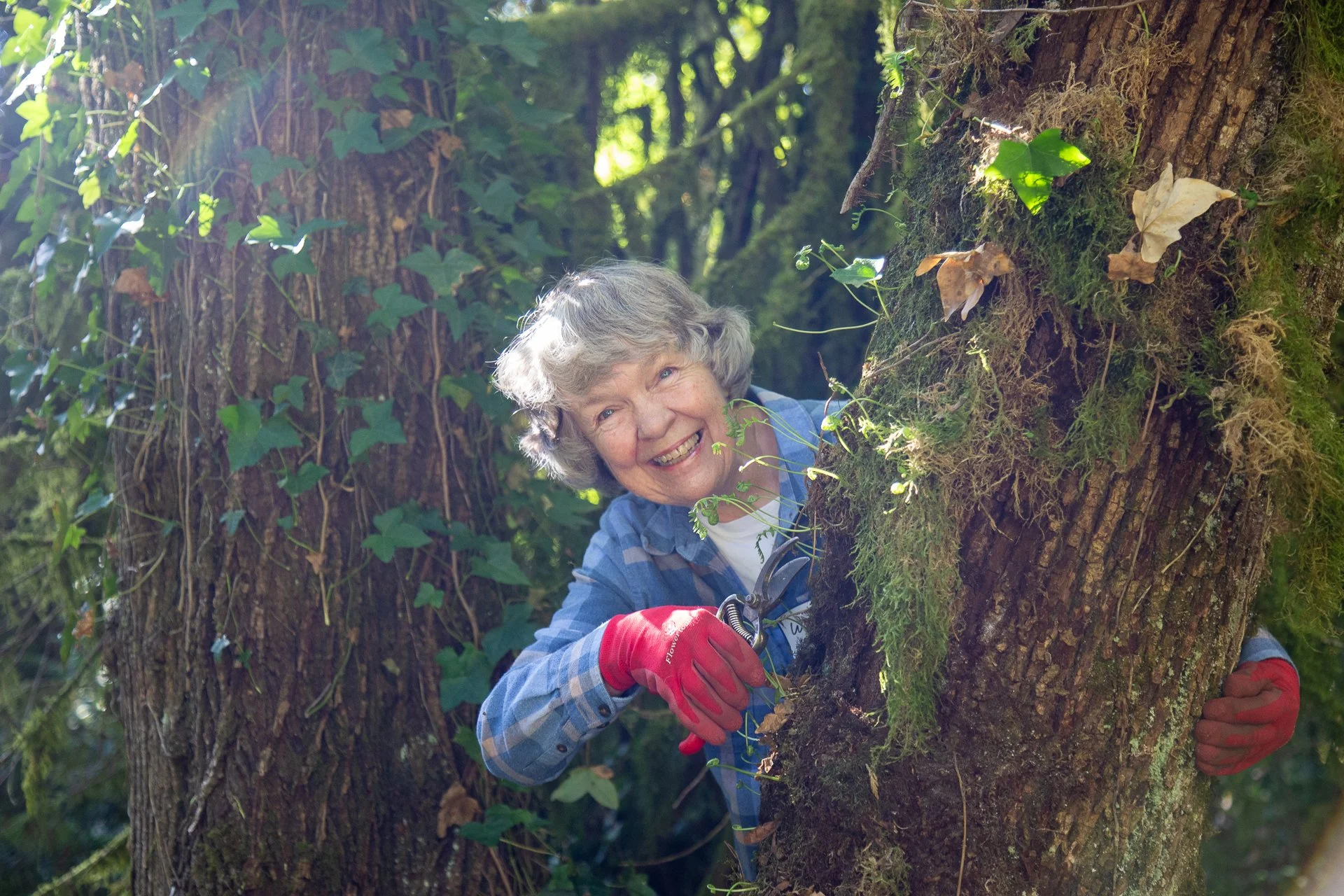 Volunteer Land Tending - Community Impact Week