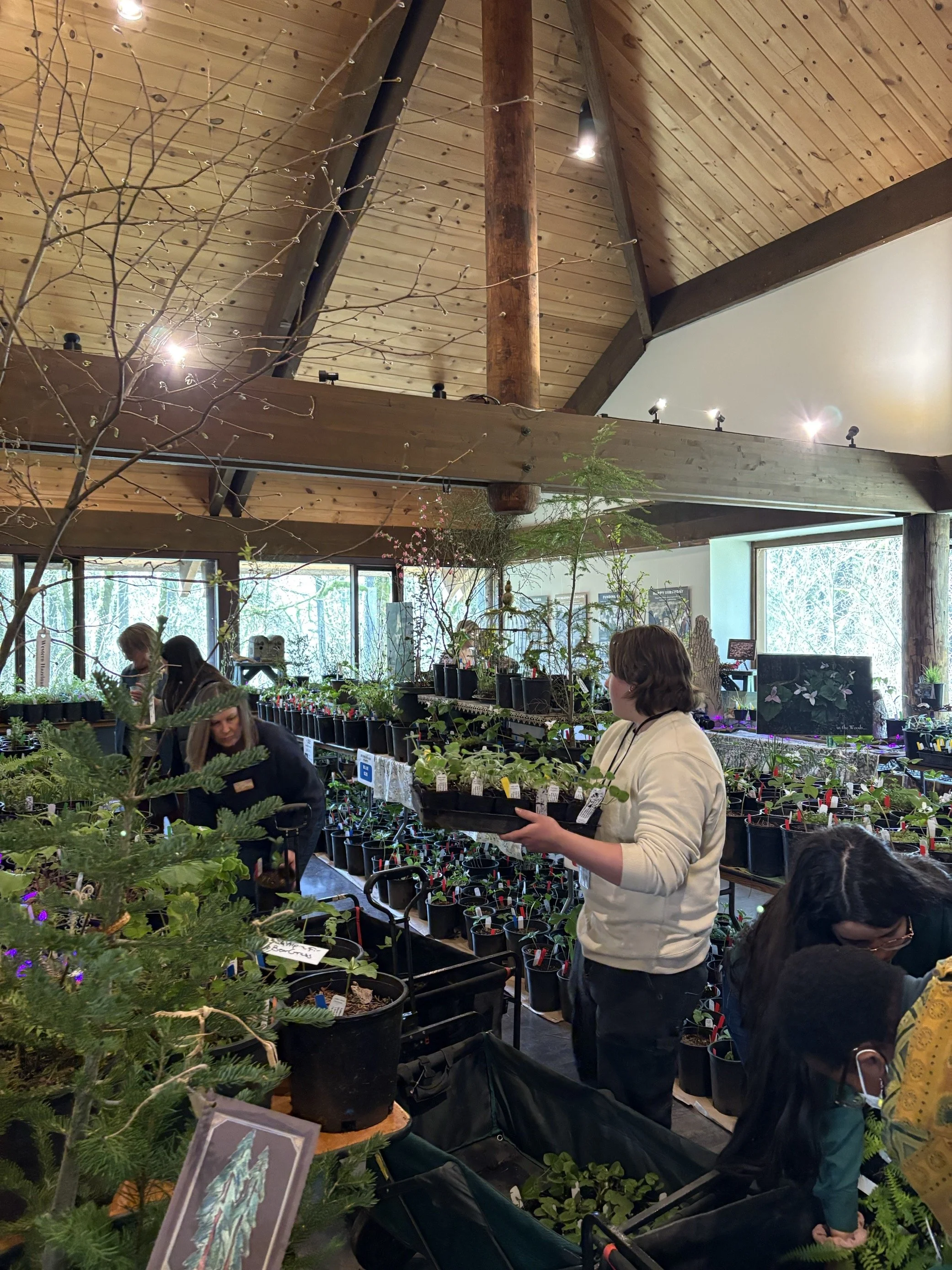 Trilium Festival Set Up.jfif