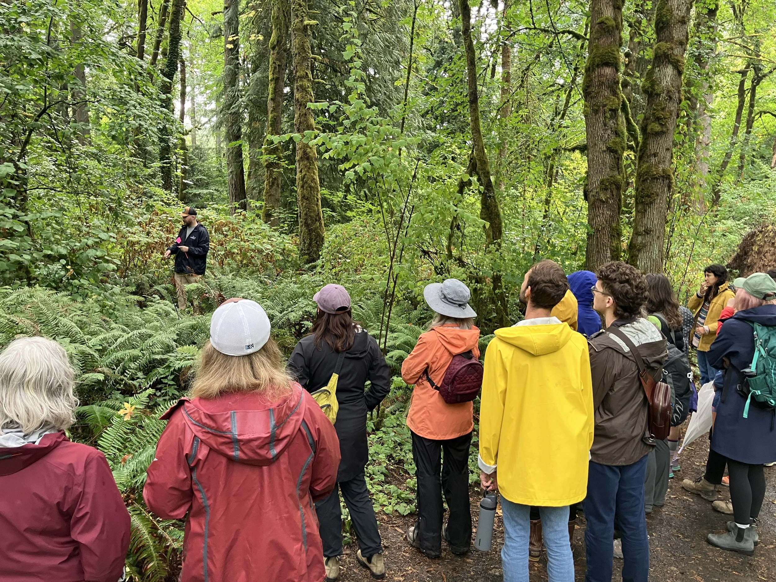 phenology monitoring.JPG