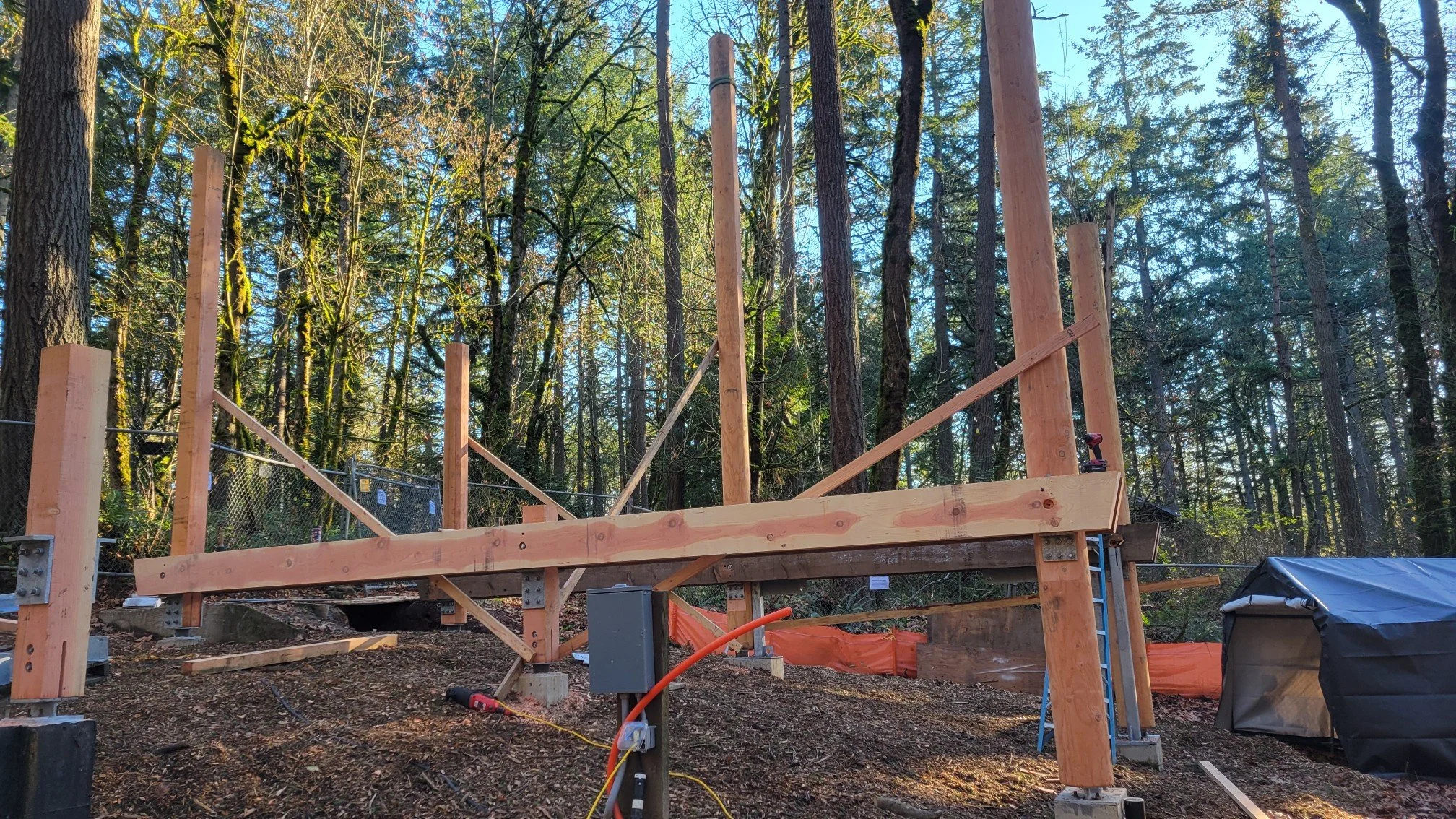 Cedar poles and foundation Dec 2024 (5).JPEG