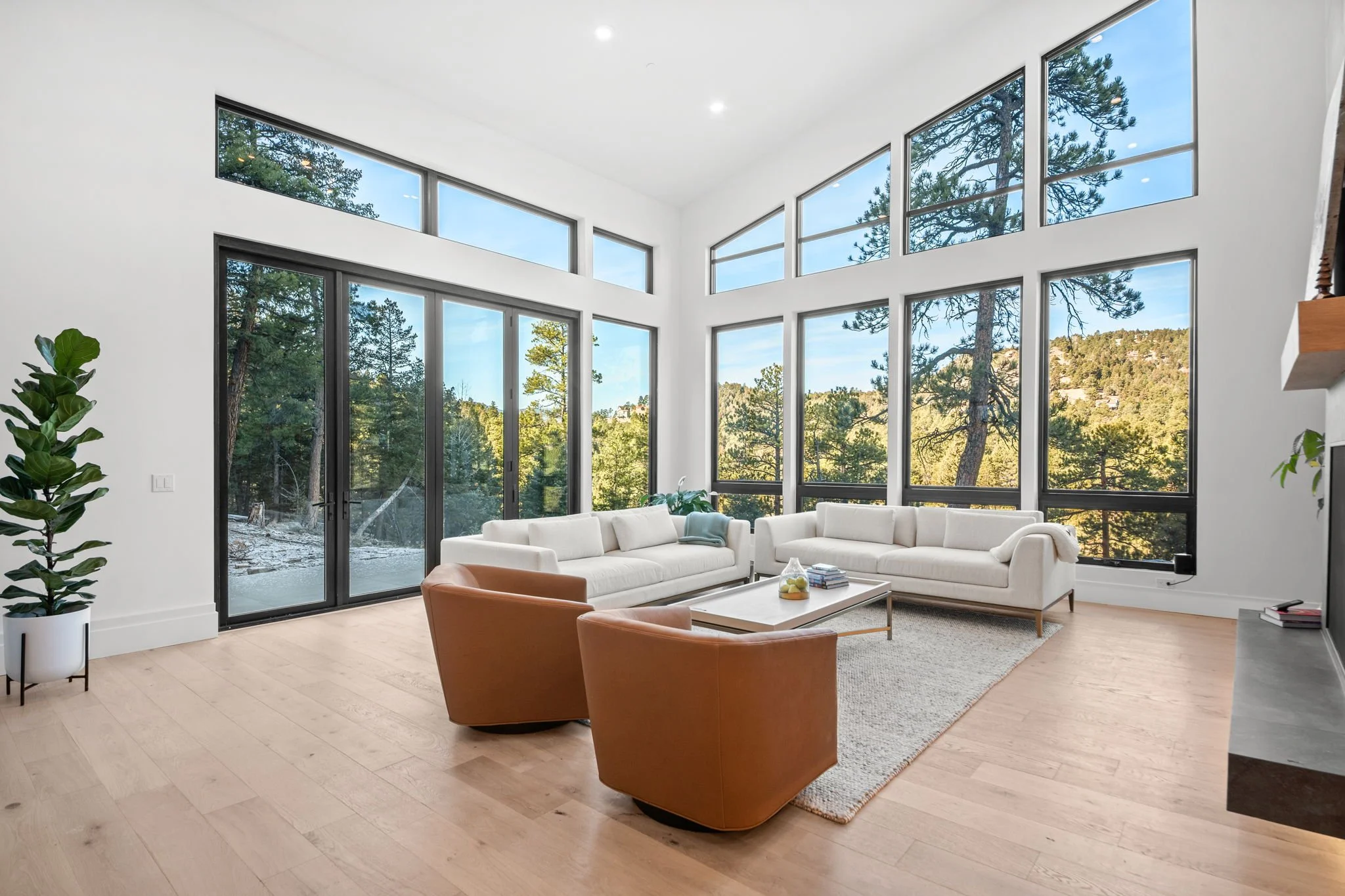 4-web-or-mls-#7856 - Max Stiles - 24446 Jura Dr, Evergreen, CO 80439_103-1 (2).jpg