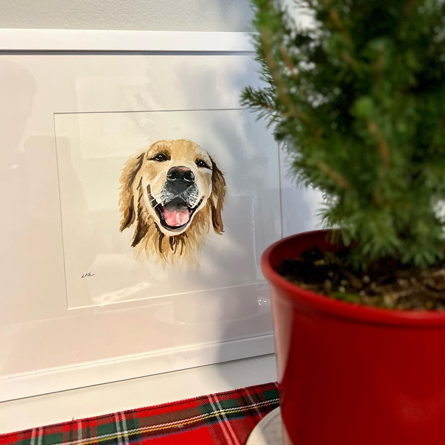 I spy a doggie who&rsquo;s ready for all things tartan and Fir 🌲 #georgiadesigns