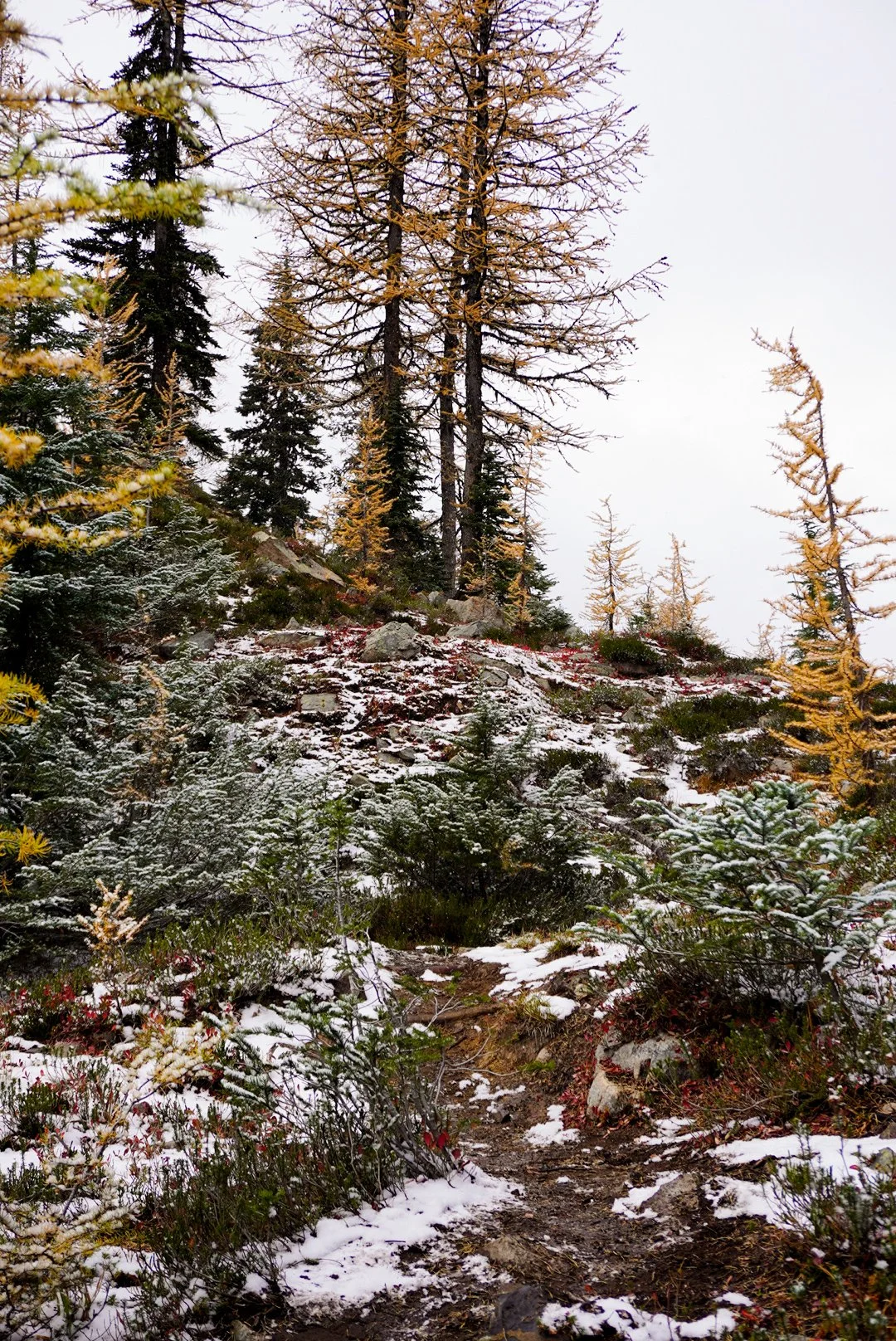 DSC09071.JPG