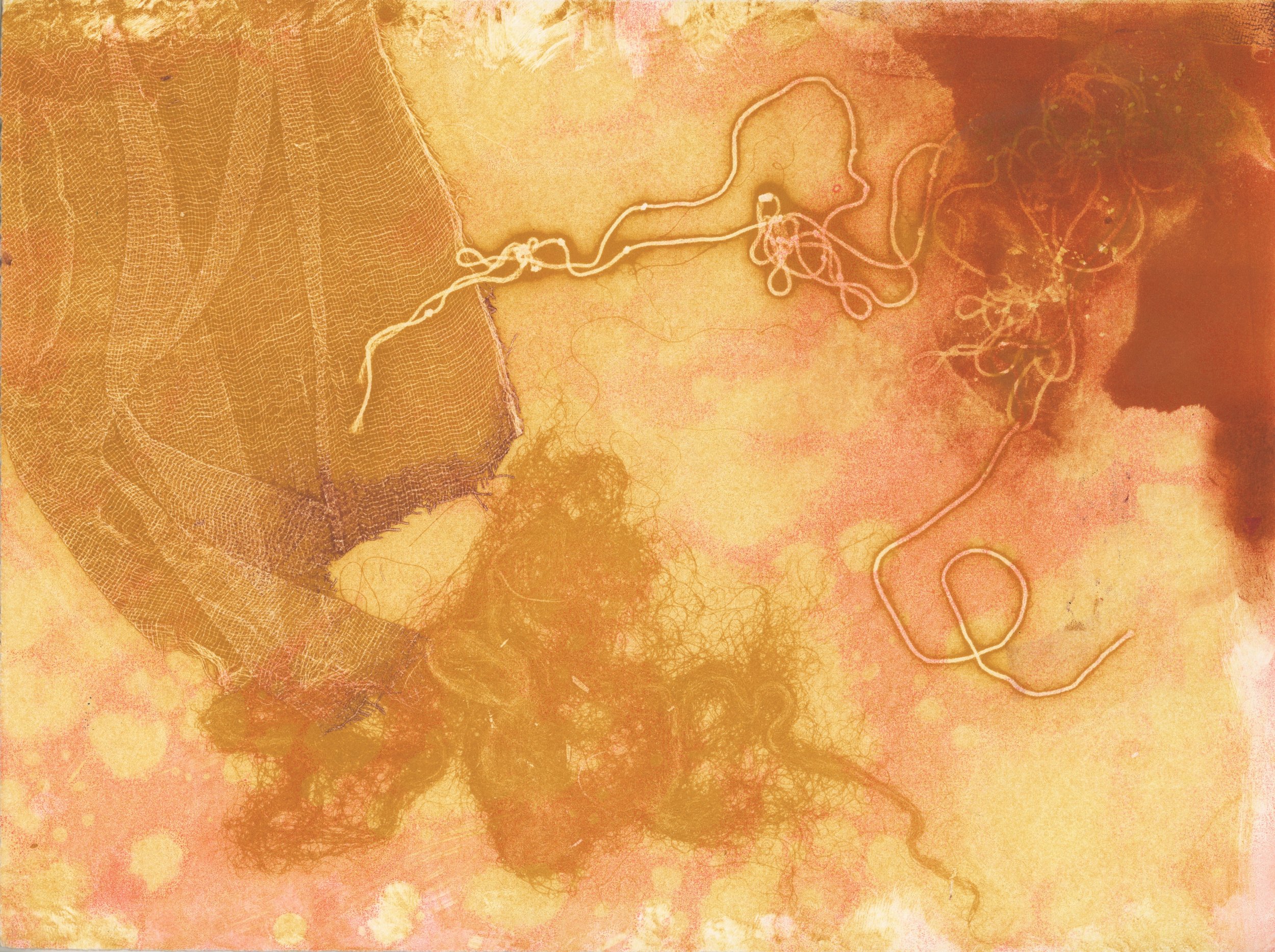 The Memory of it, Monotype, 9"x13", 2018