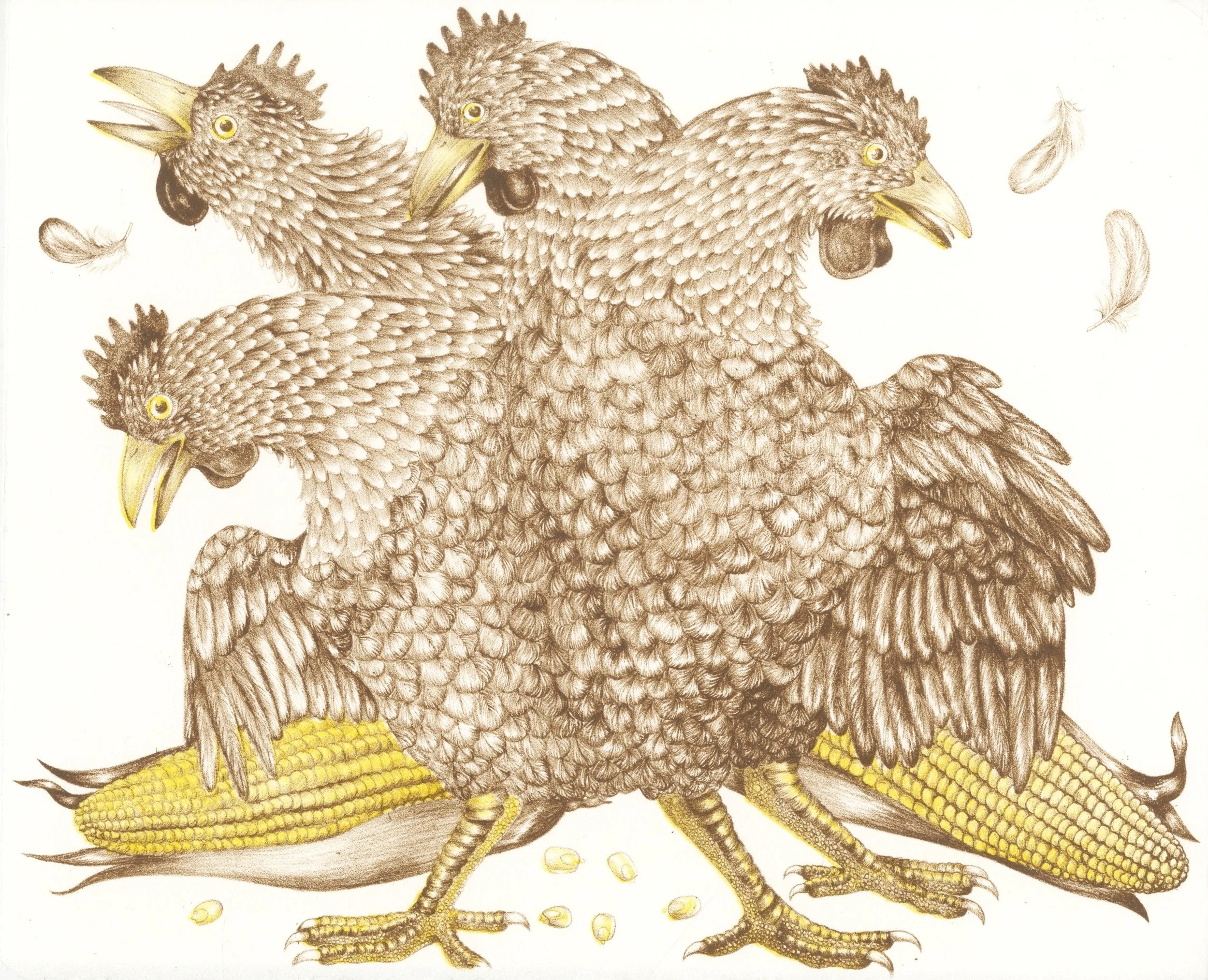 Mutated Chickens, Lithograph, 15"x11", 2017