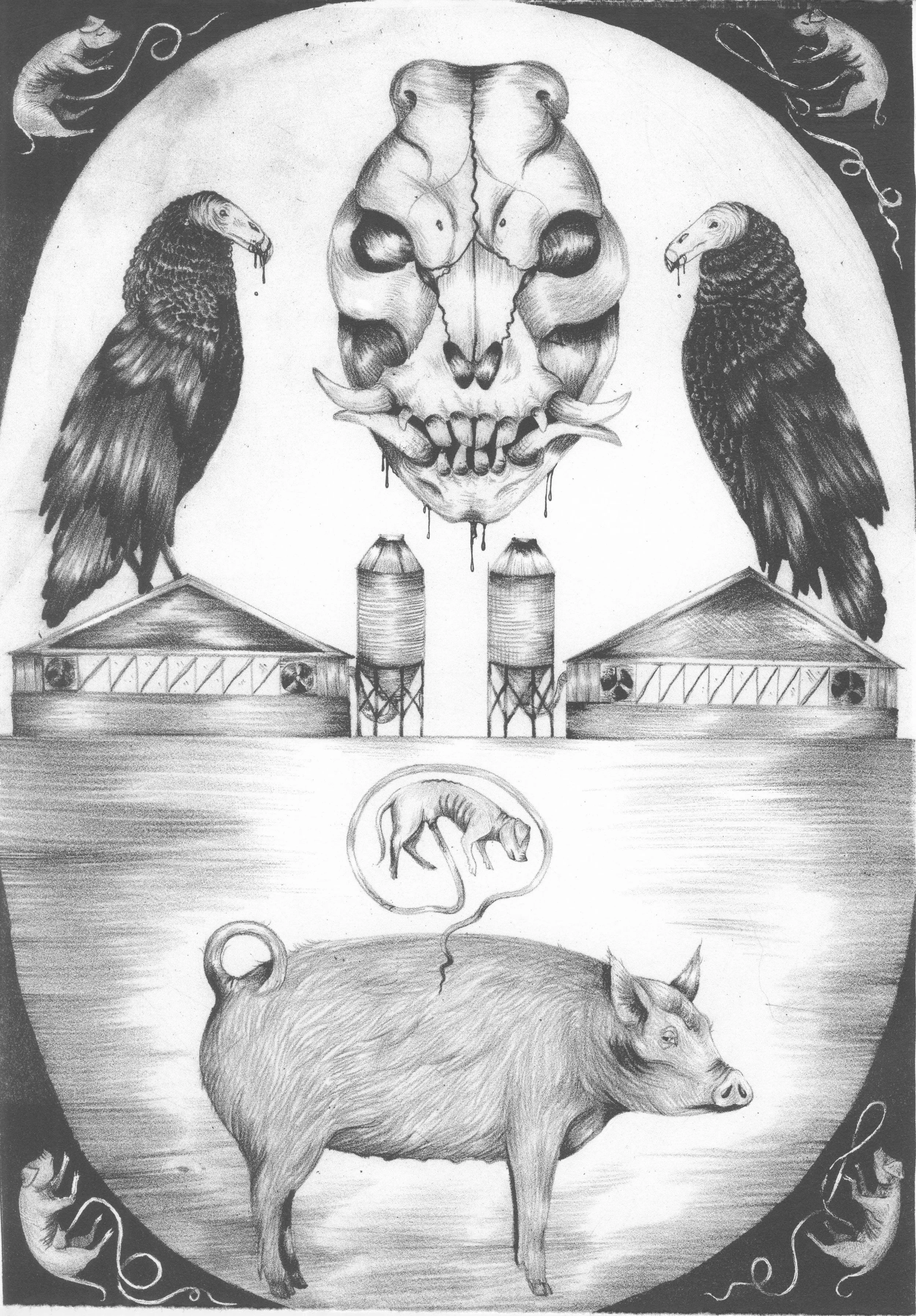 Circle of Life, Lithograph, 11"x15", 2016